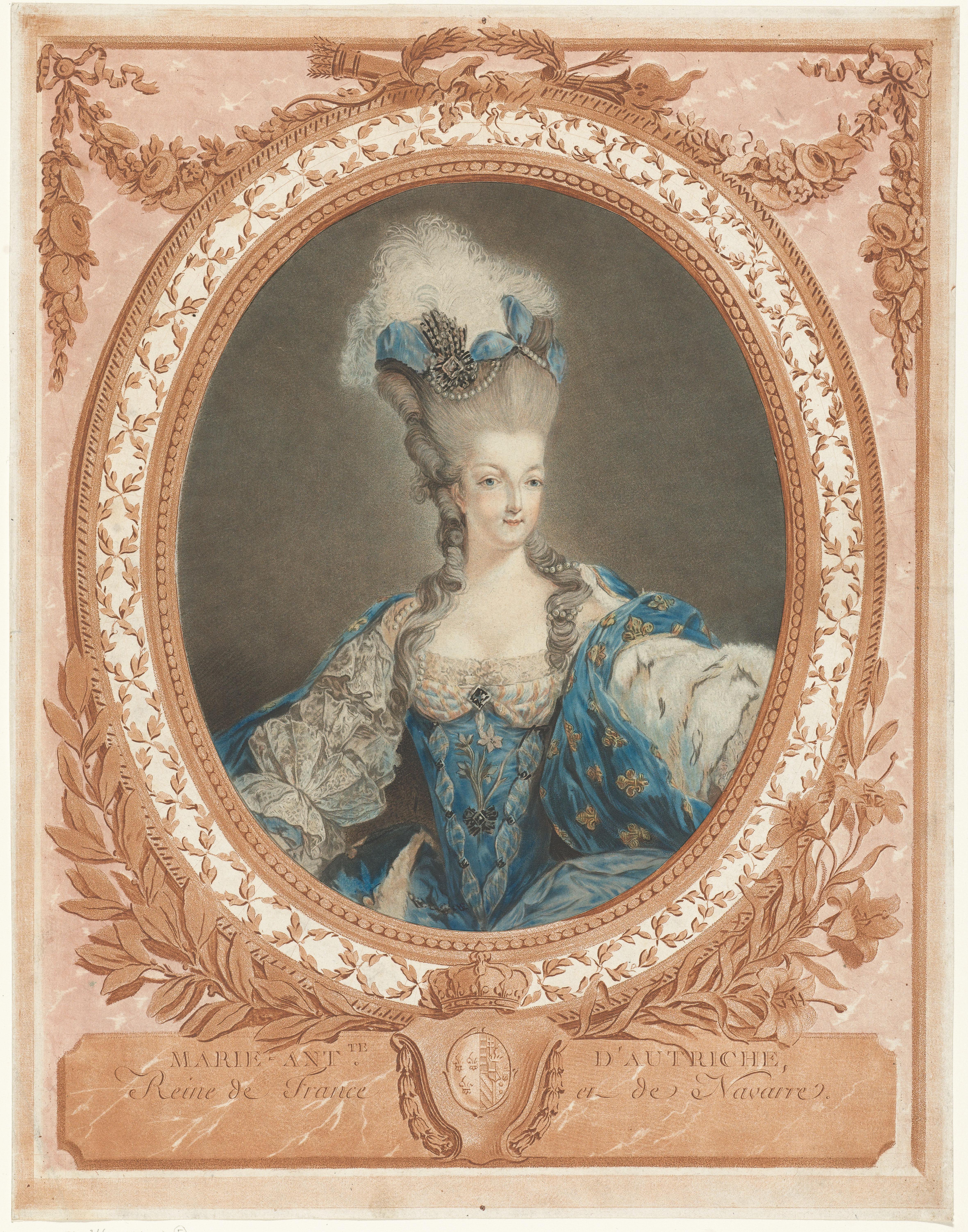 Marie Antoinette: The Queen of Fashion: Portrait of Marie Antoinette
