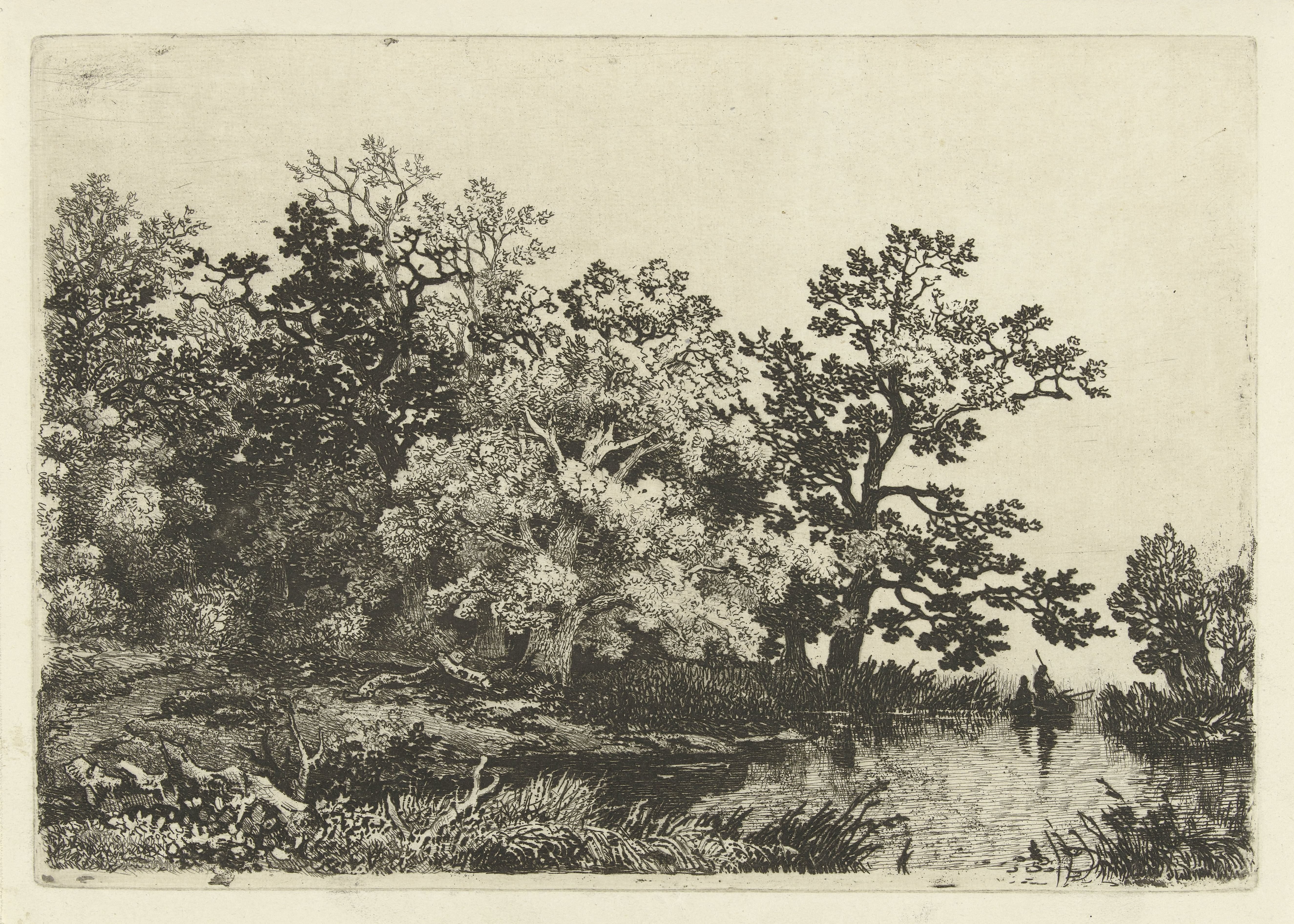 Bomen aan een meertje