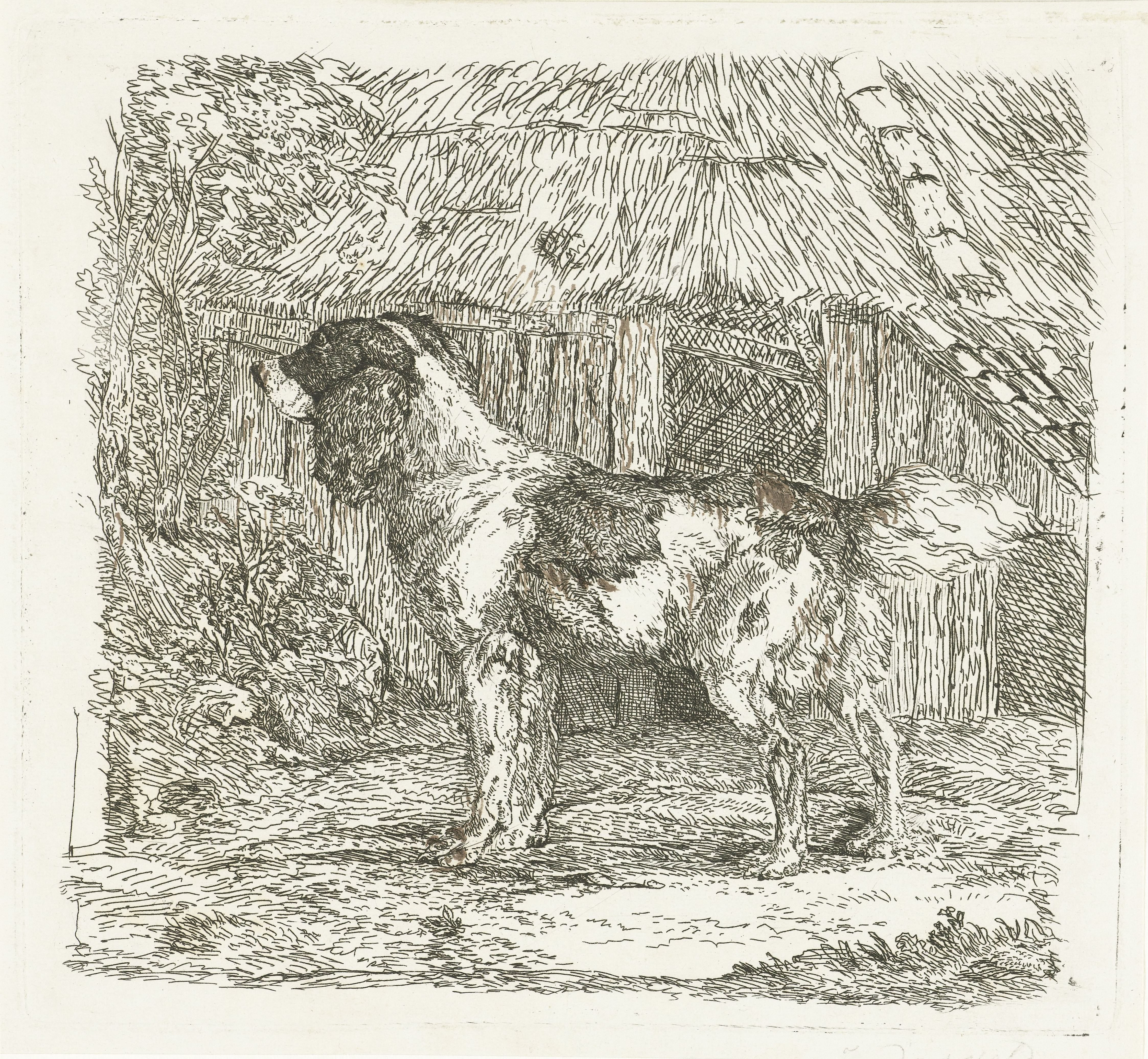 Hond staand bij hok