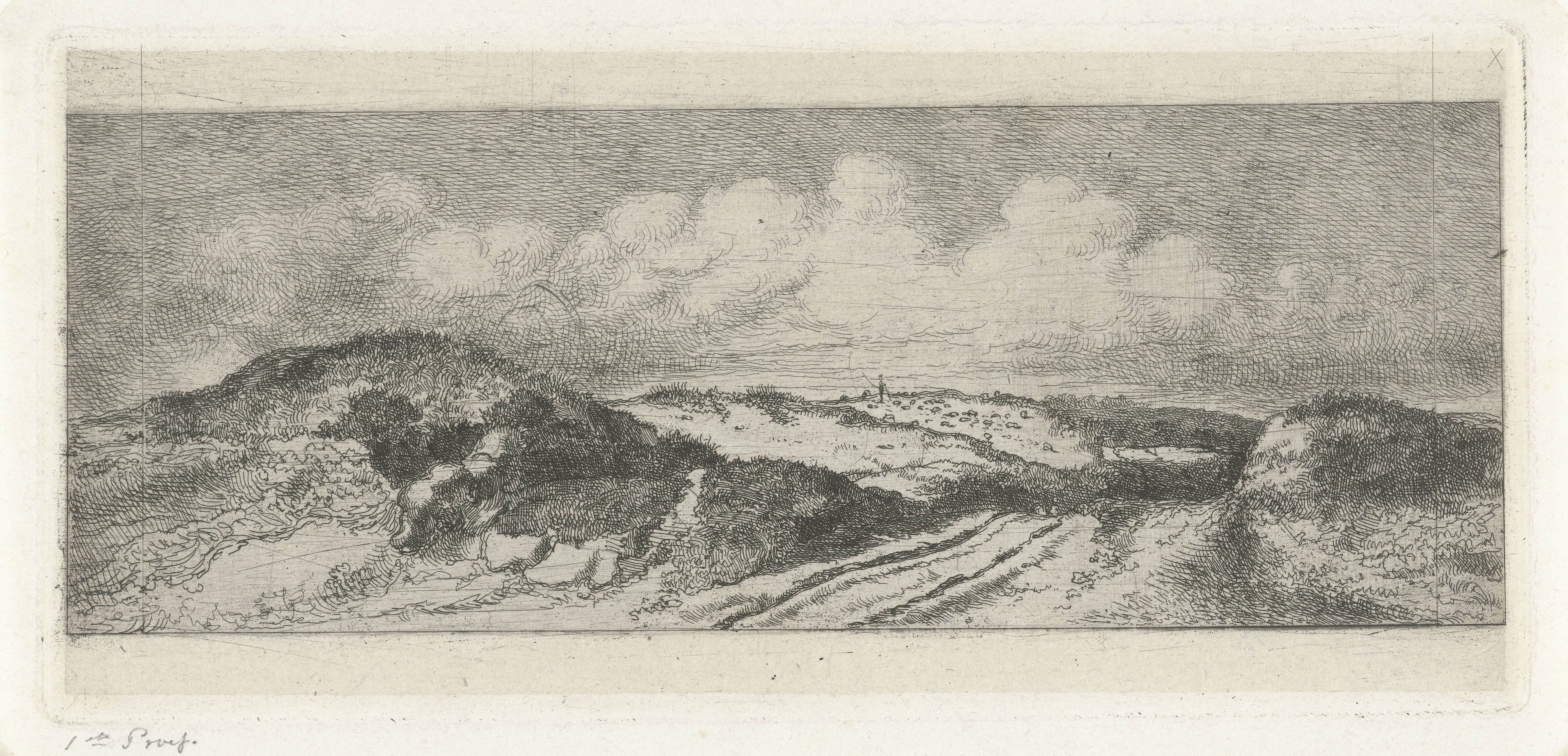 Gezicht op Wassenaar vanuit de duinen