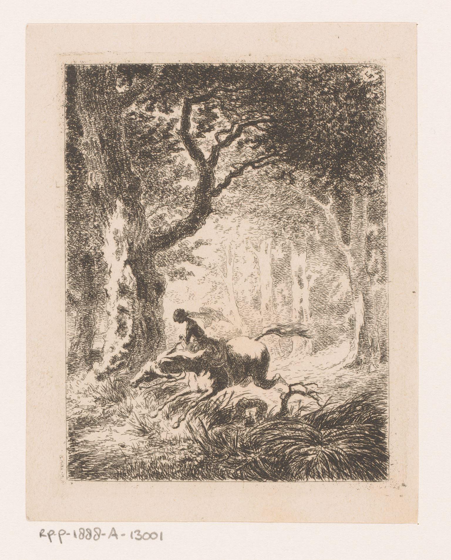 Vrouw te paard in een bos