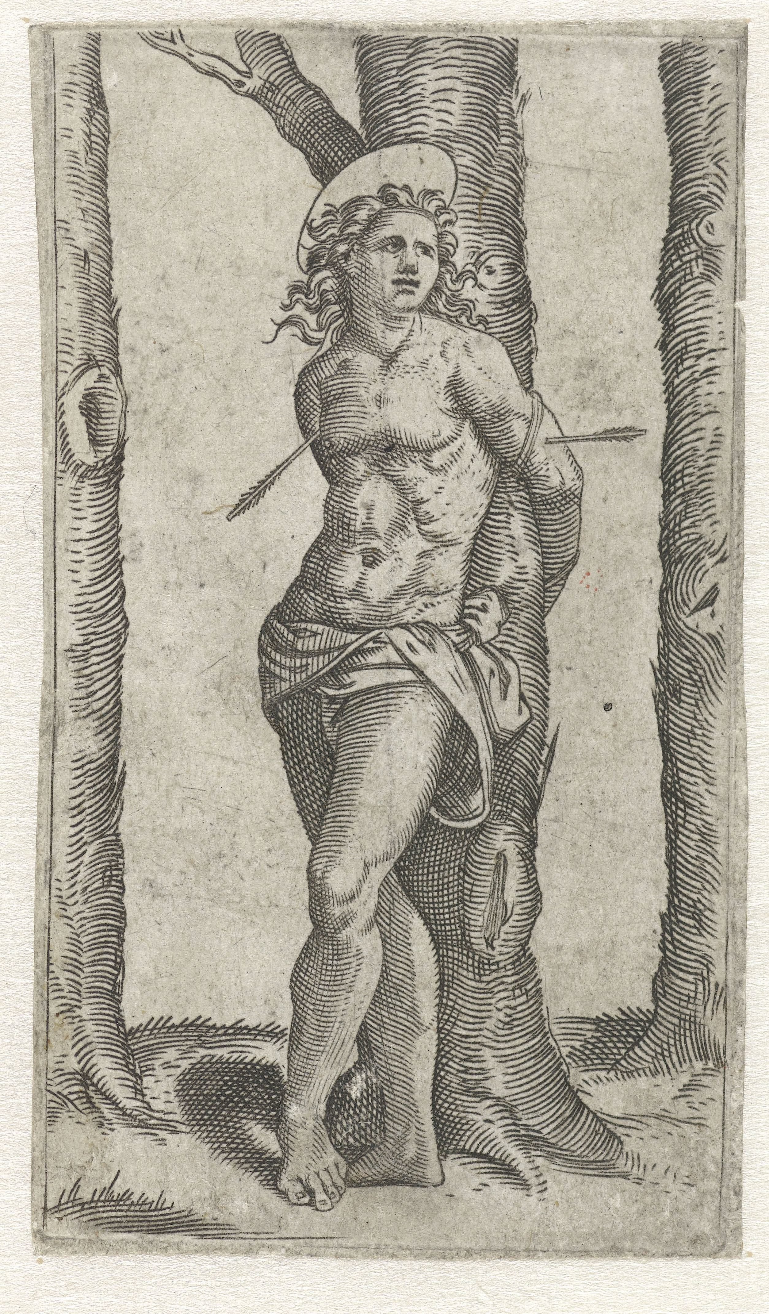 Heilige Sebastiaan vastgebonden aan boom met pijlen in lichaam