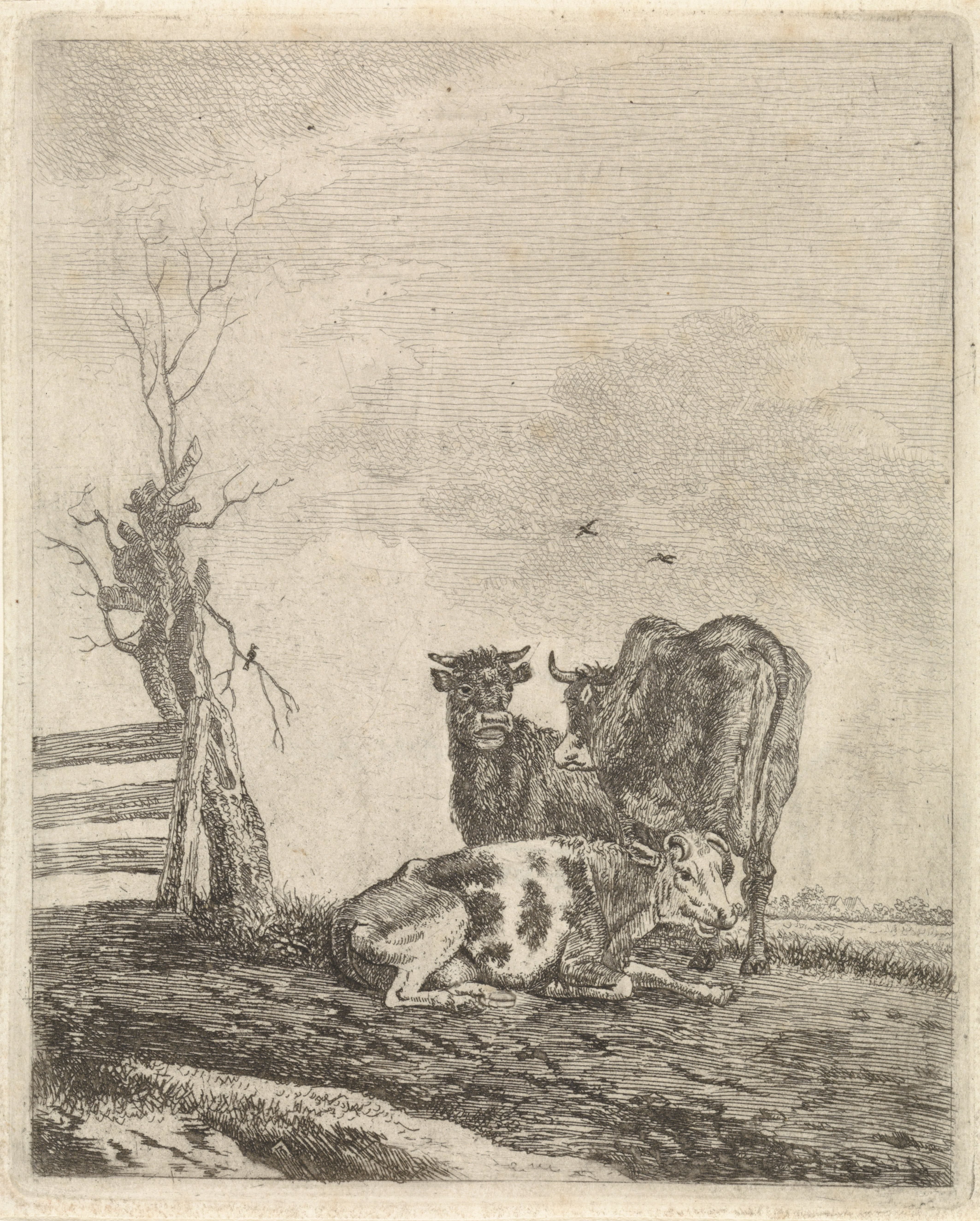 Landschap met drie koeien