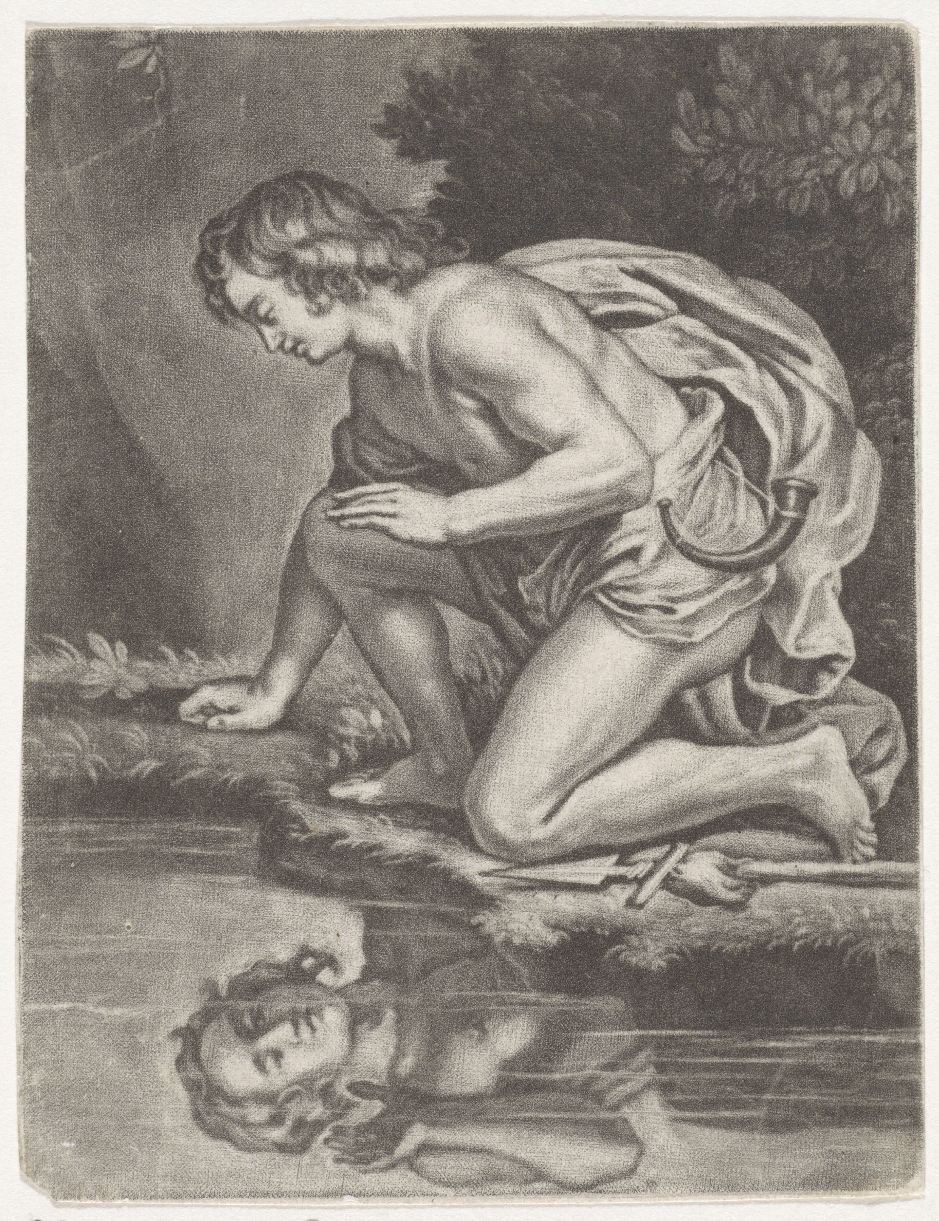 Narcissus