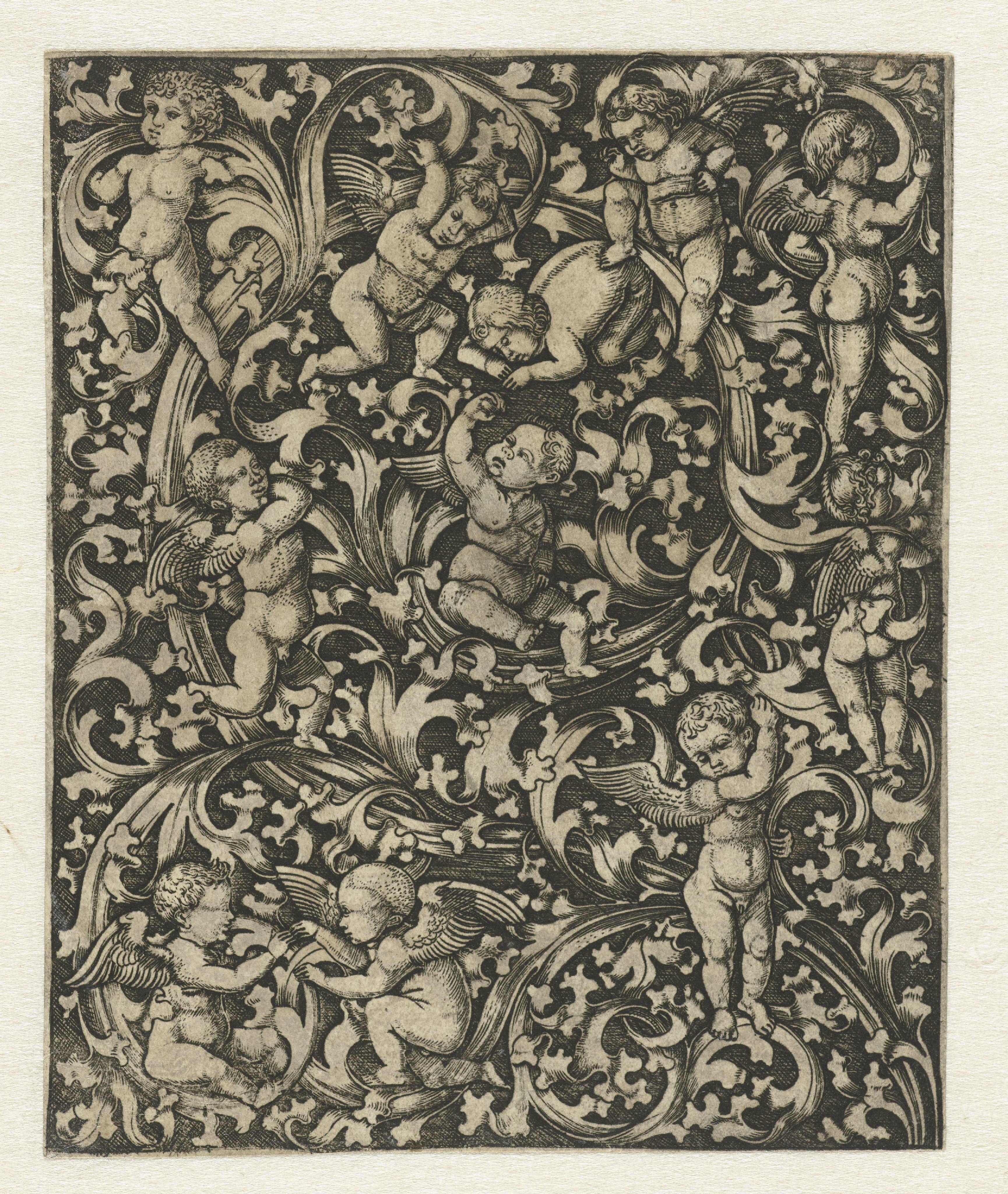 Ornament met putti