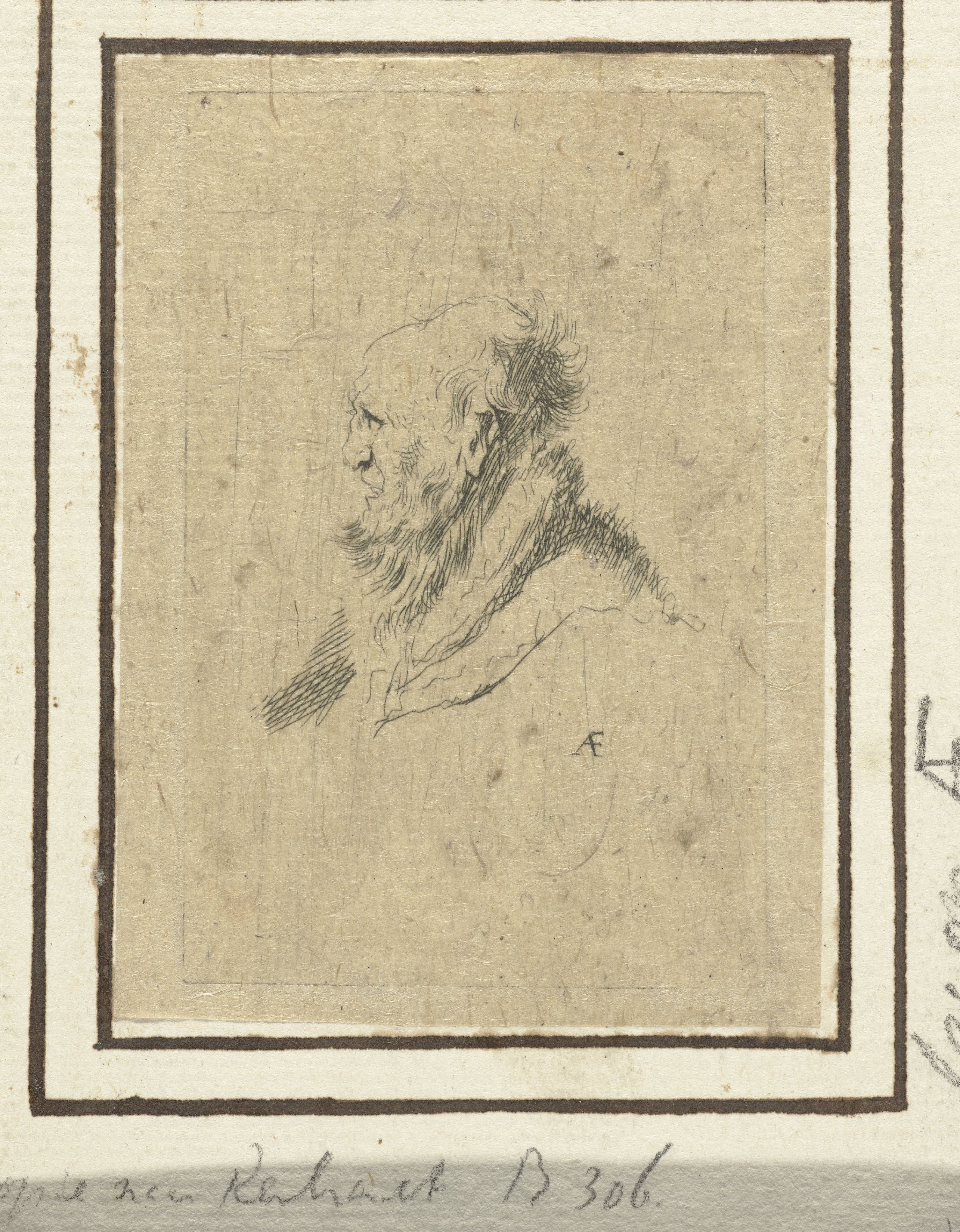 Bald old man with a short beard, in profile right