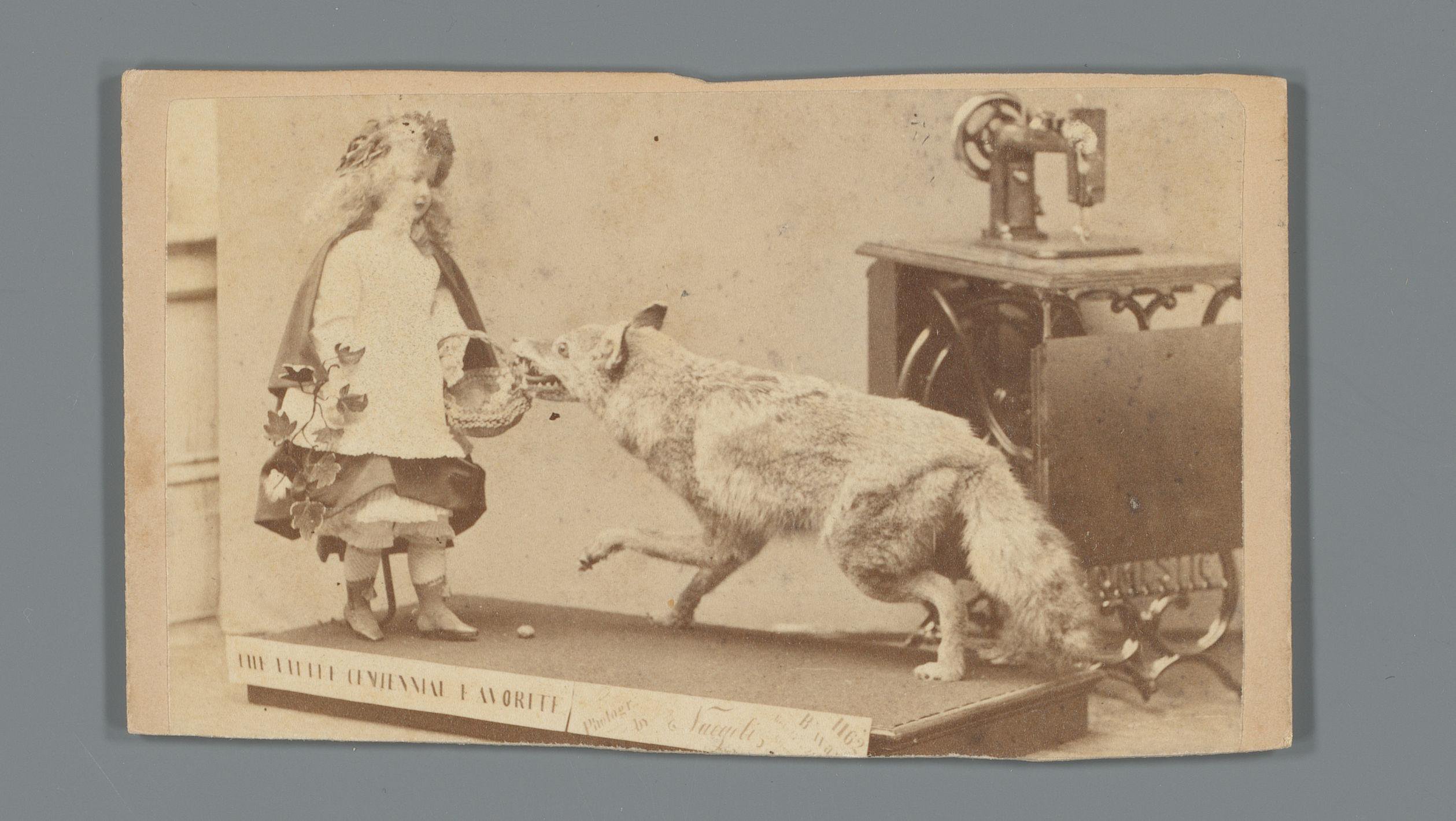 Opgezette vos en pop gekleed als Roodkapje met daarachter een naaimachine van Domestic Sewing Machine Company