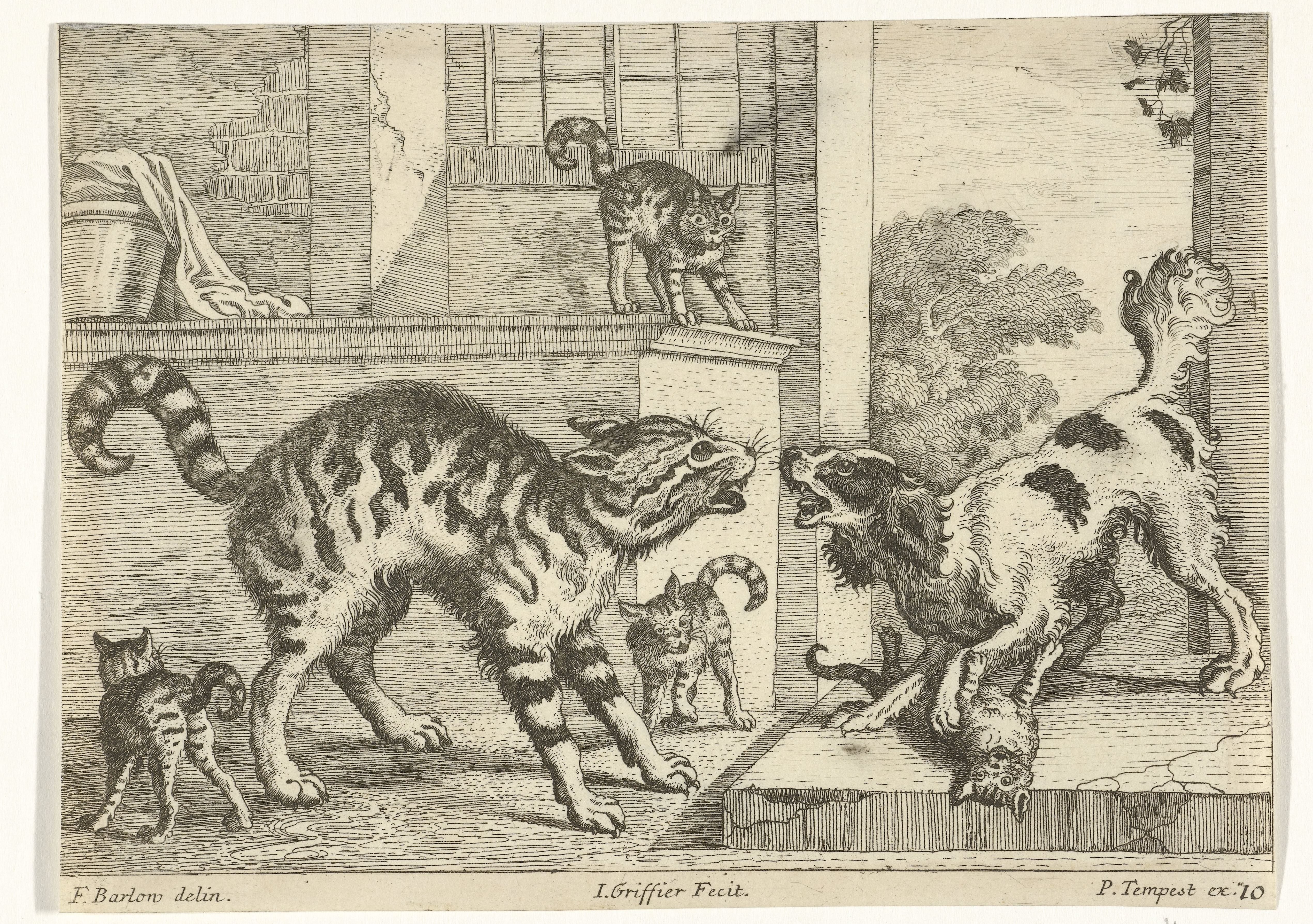Hond en kat