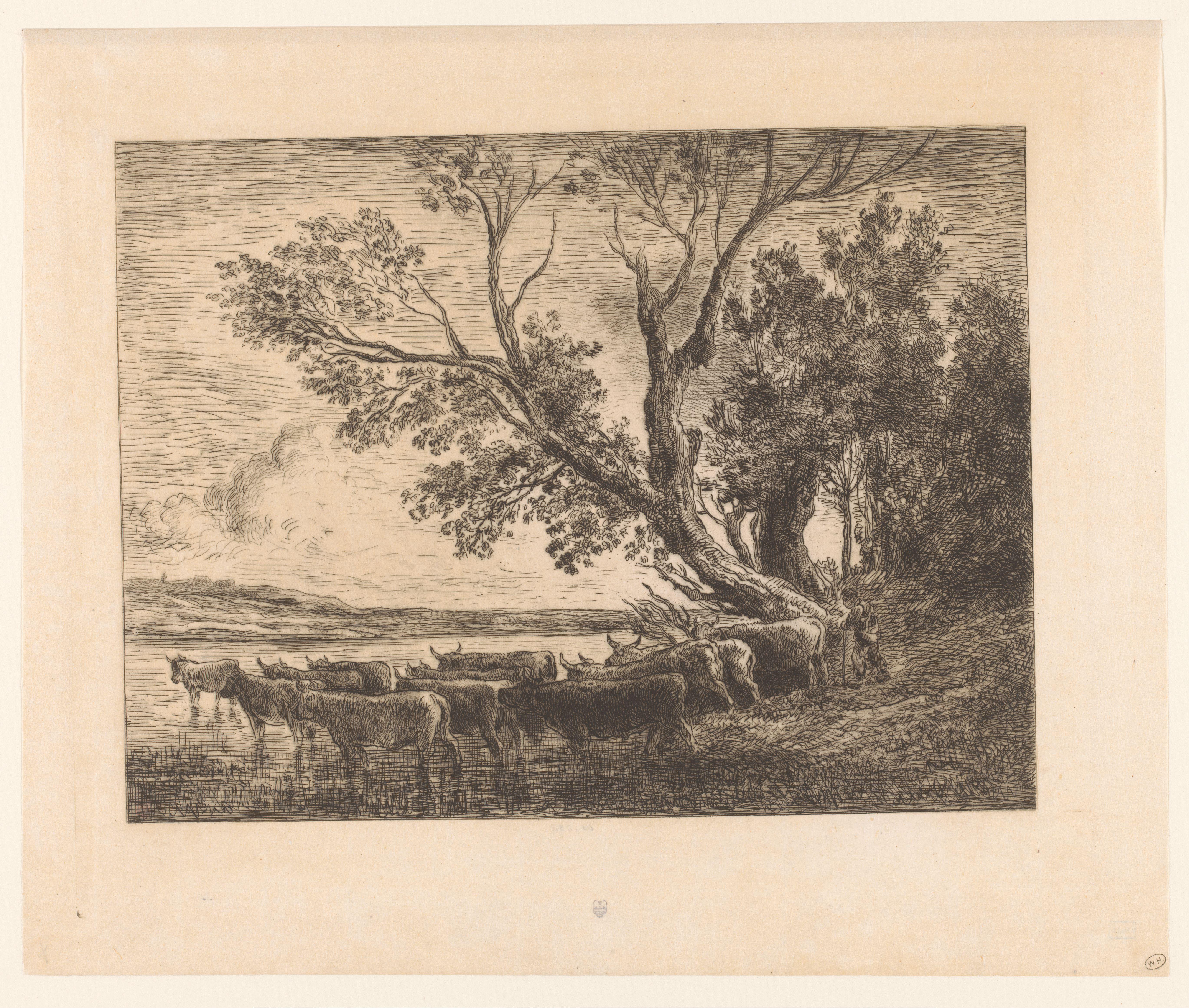Landschap met wadende runderen