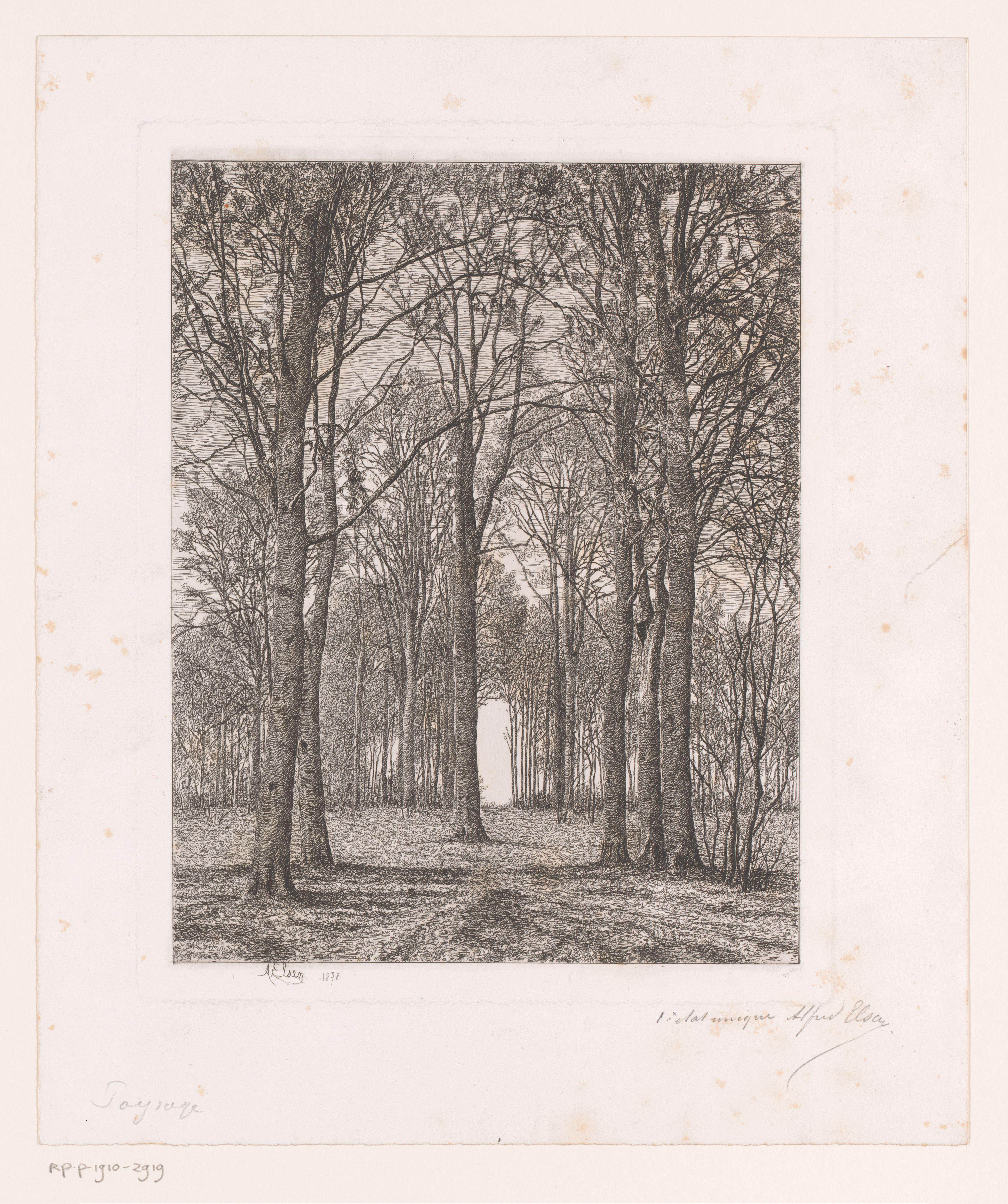 Landschap met bomen