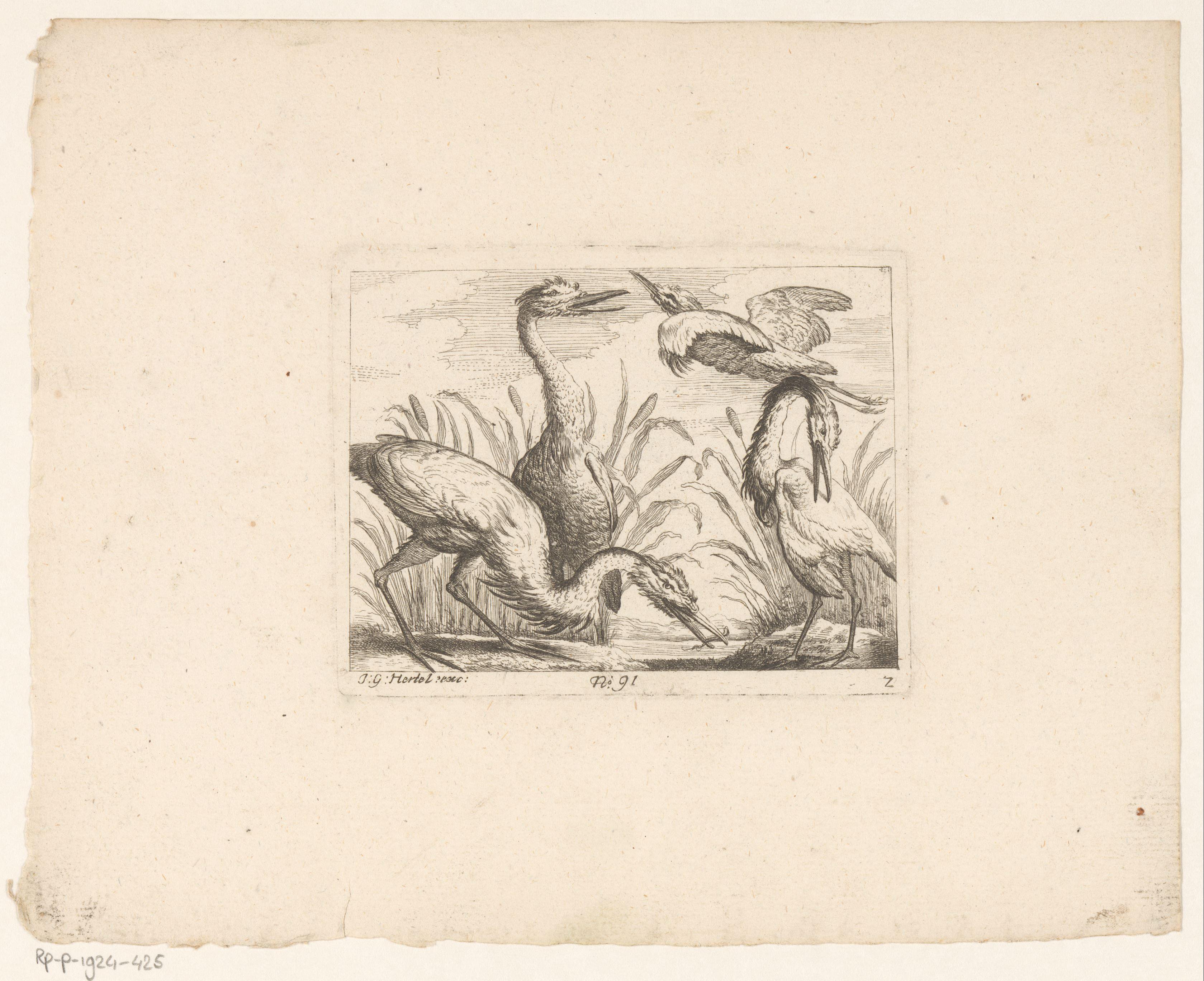 Landschap met vijf fazanten