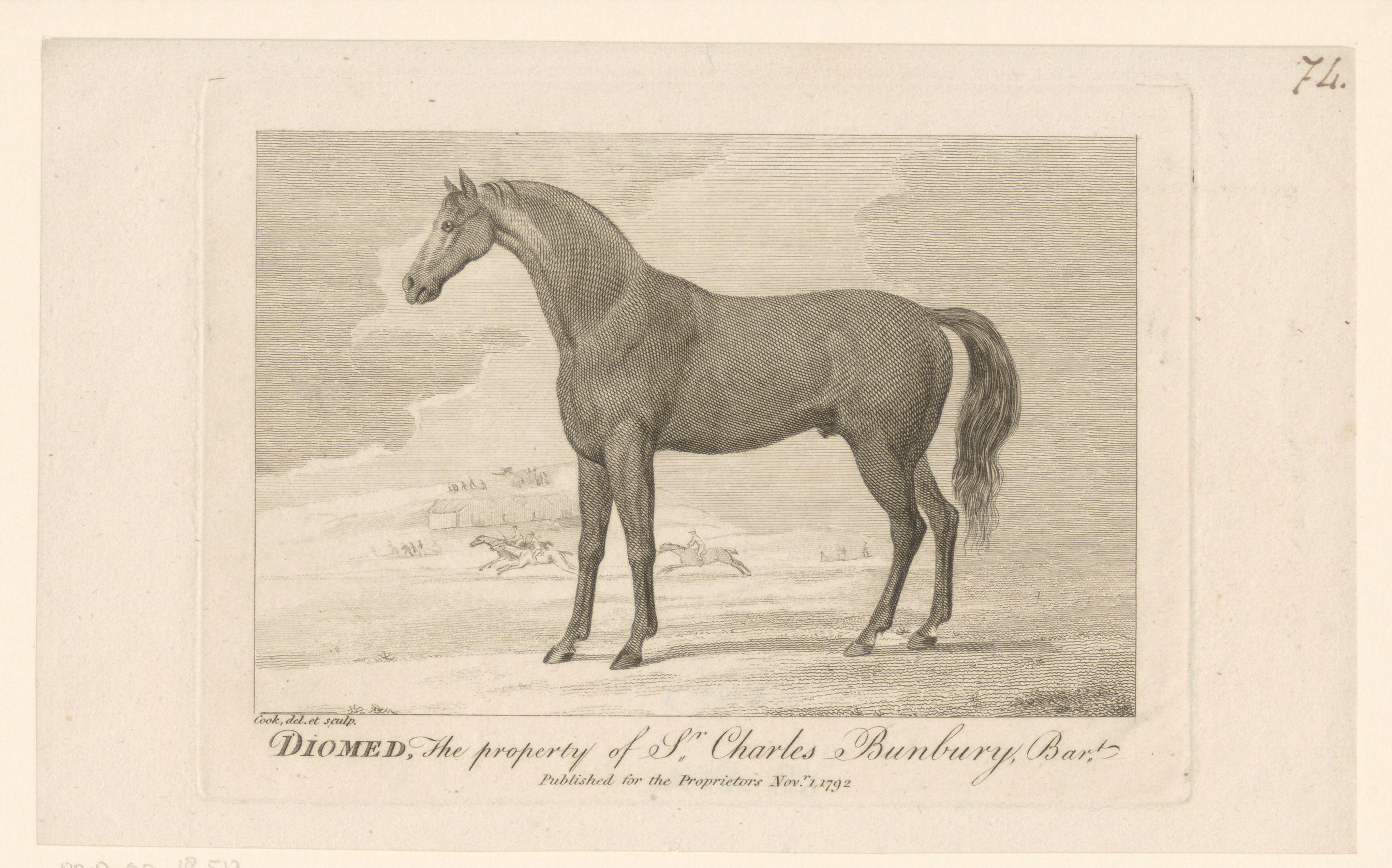 Paard