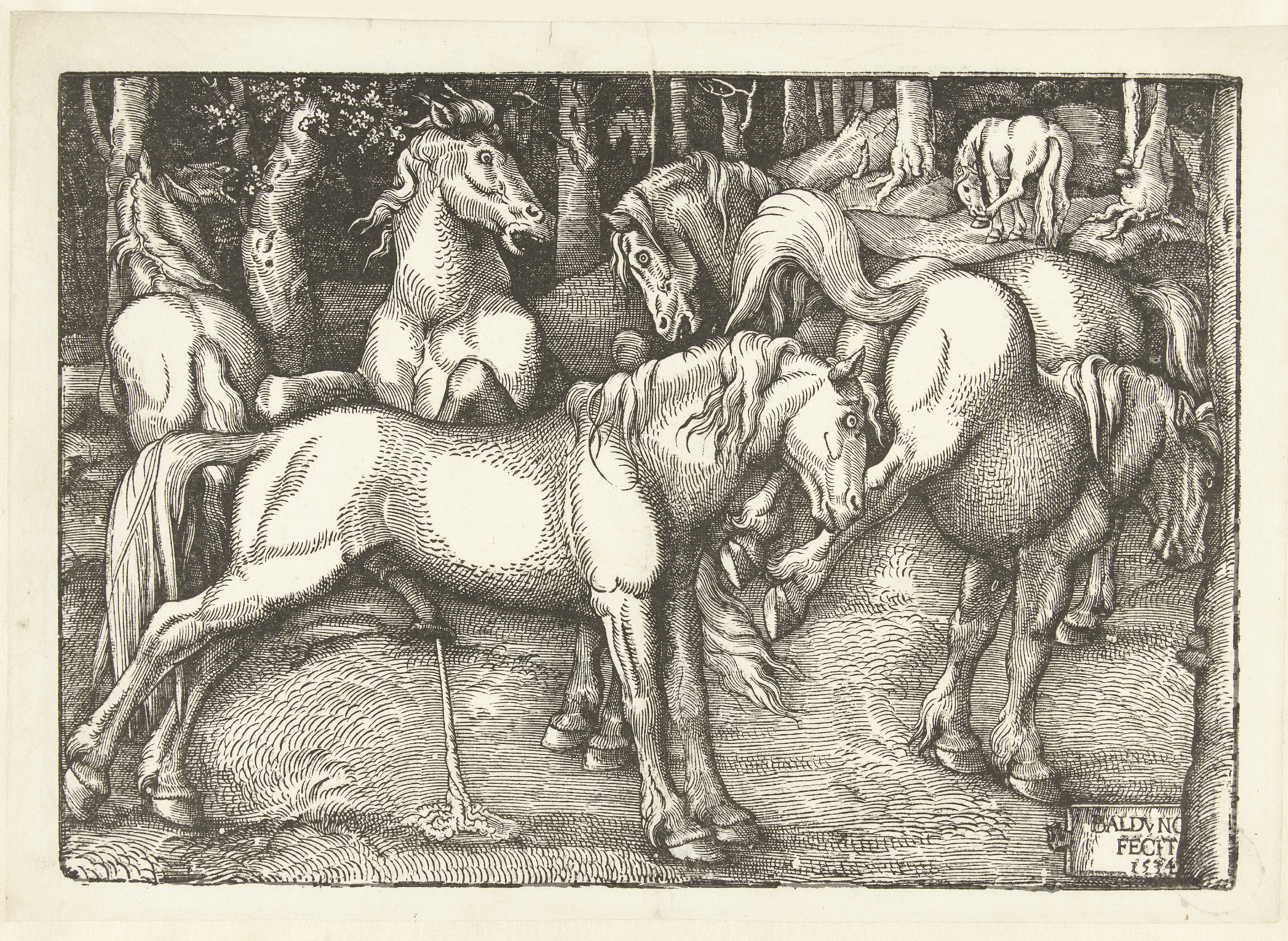 Groep van zes vechtende paarden