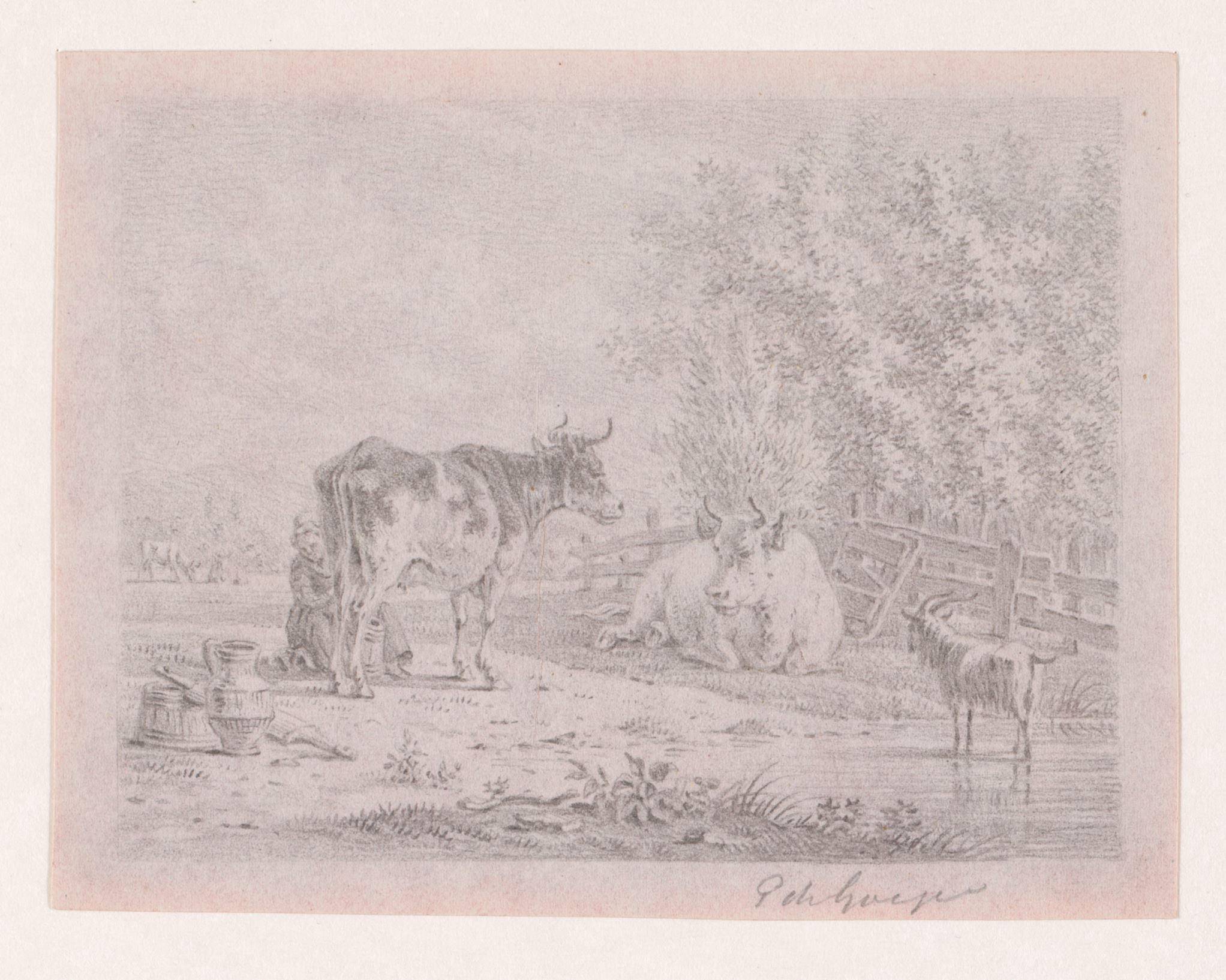 Koe wordt gemolken in een landschap