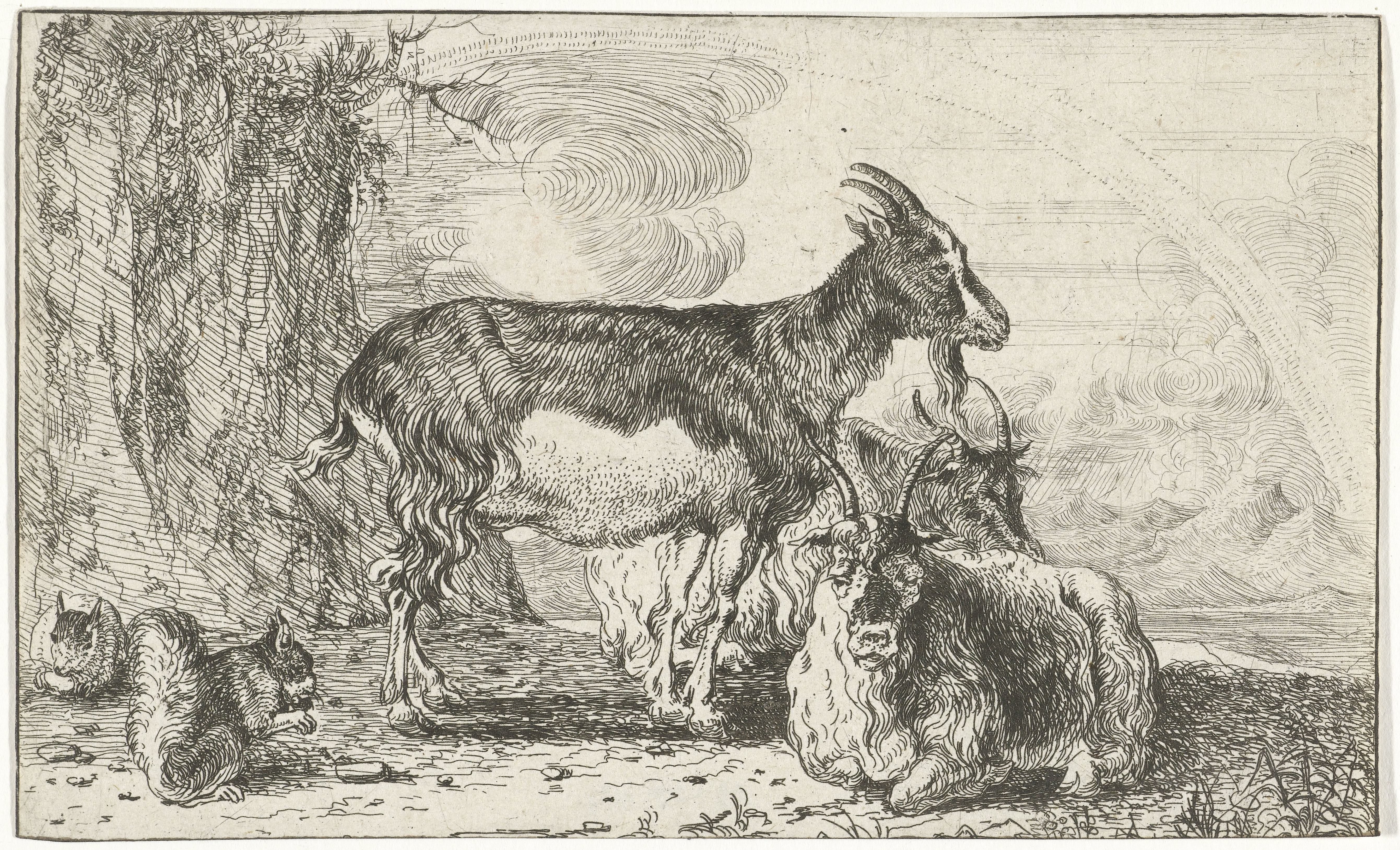 Geiten