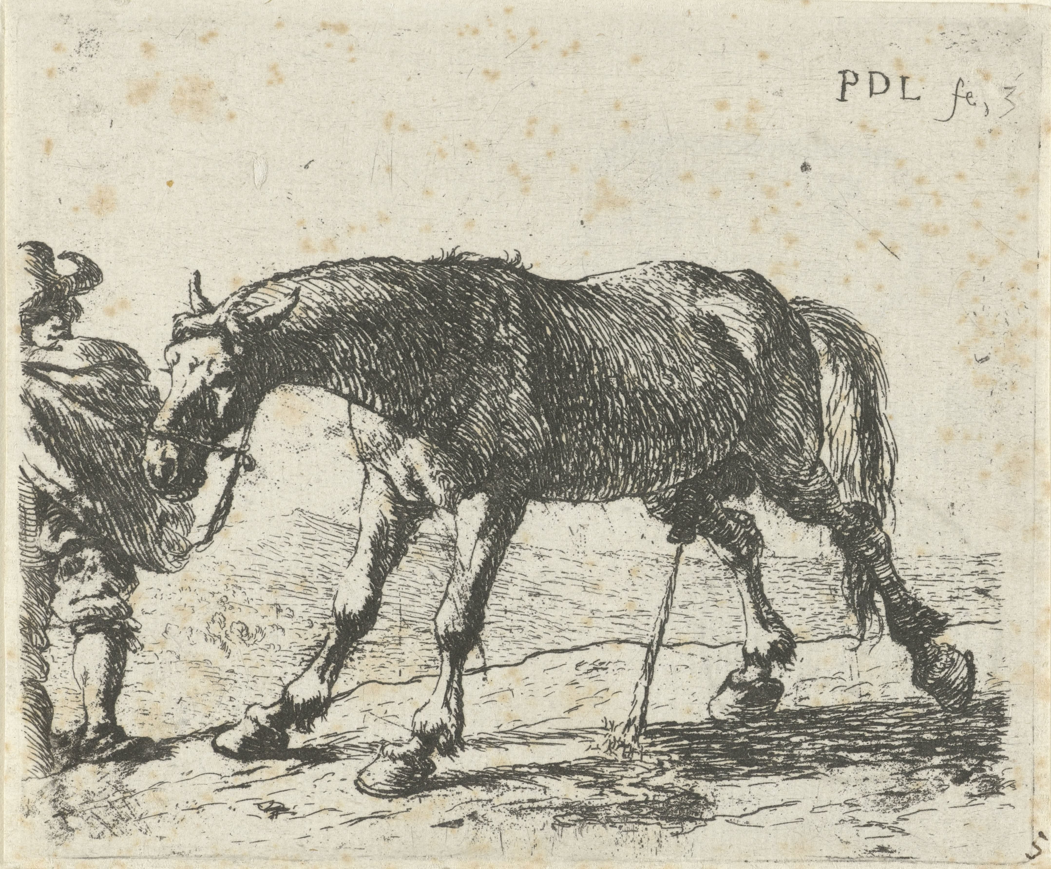 Pissend paard