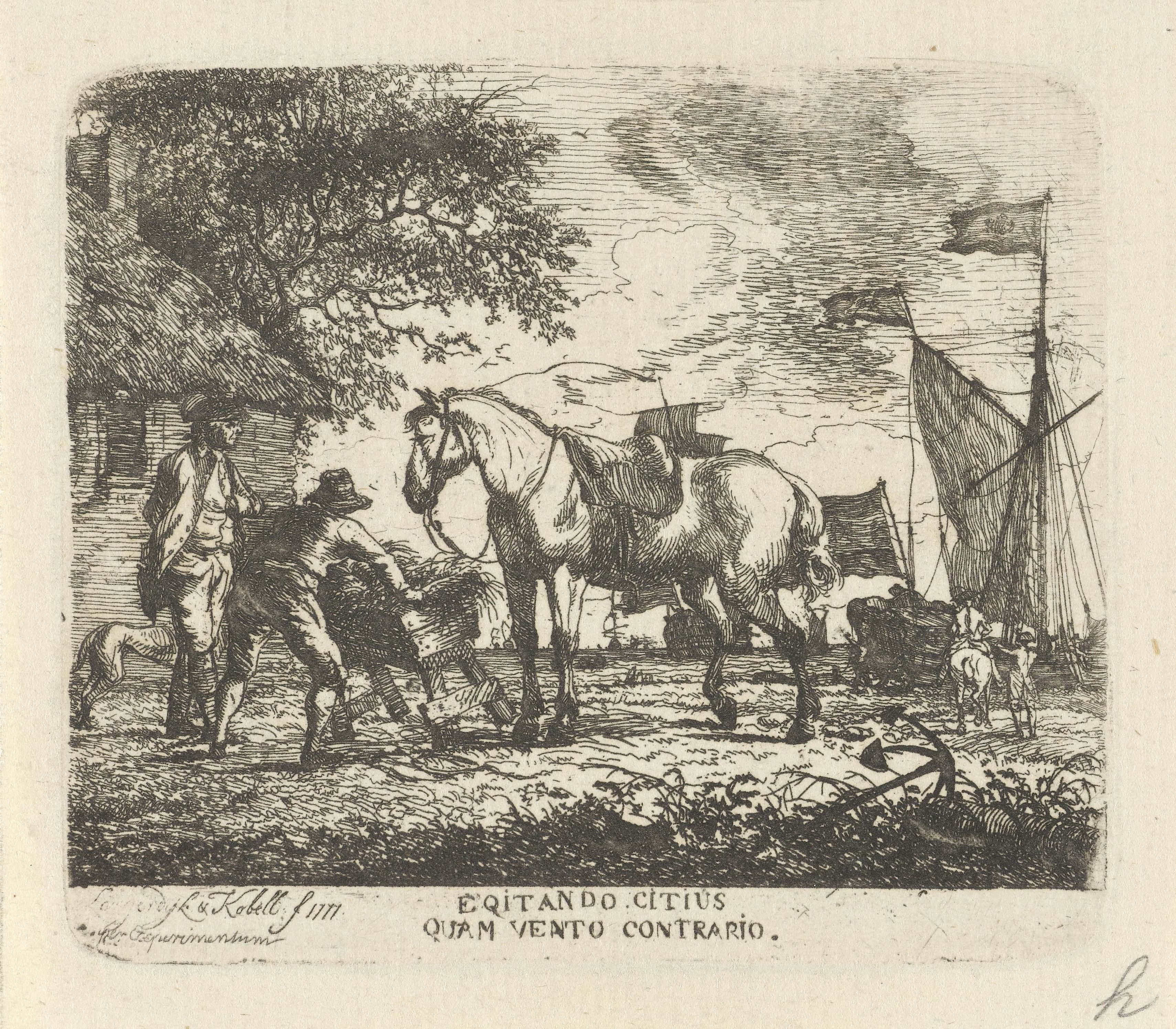 Voeren van het paard