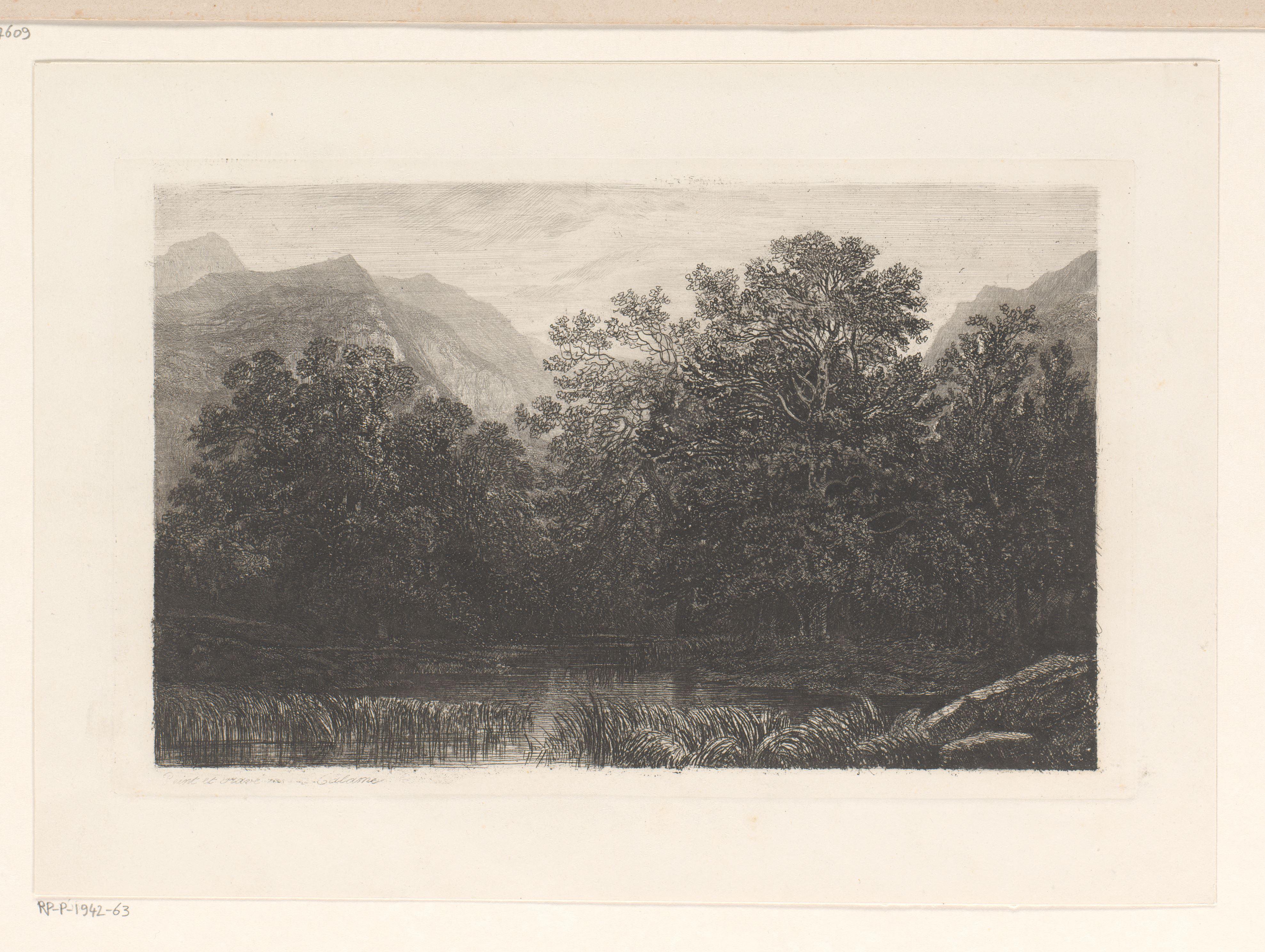 Berglandschap met loofbomen bij een waterplaats