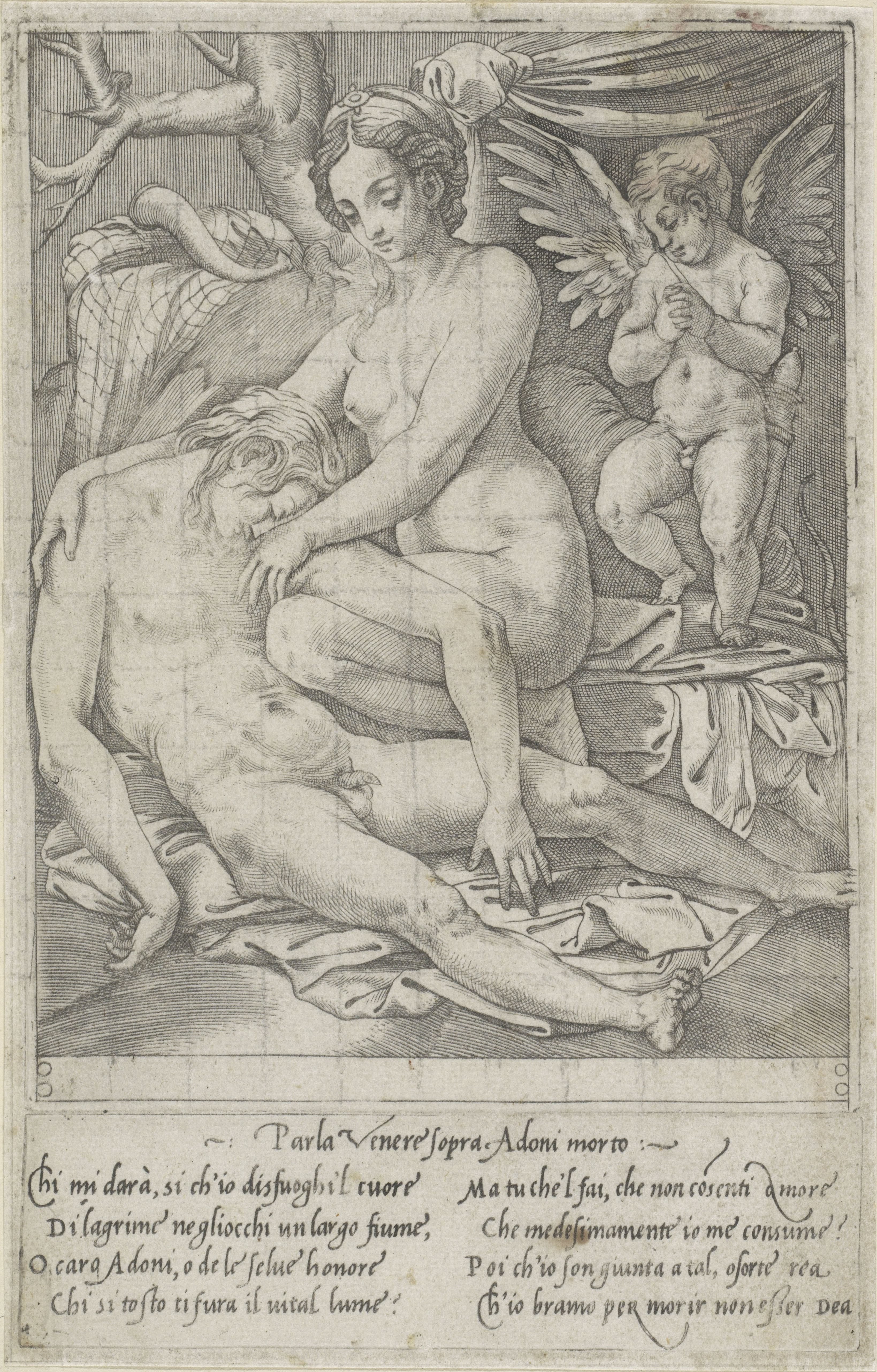 Venus en de dode Adonis