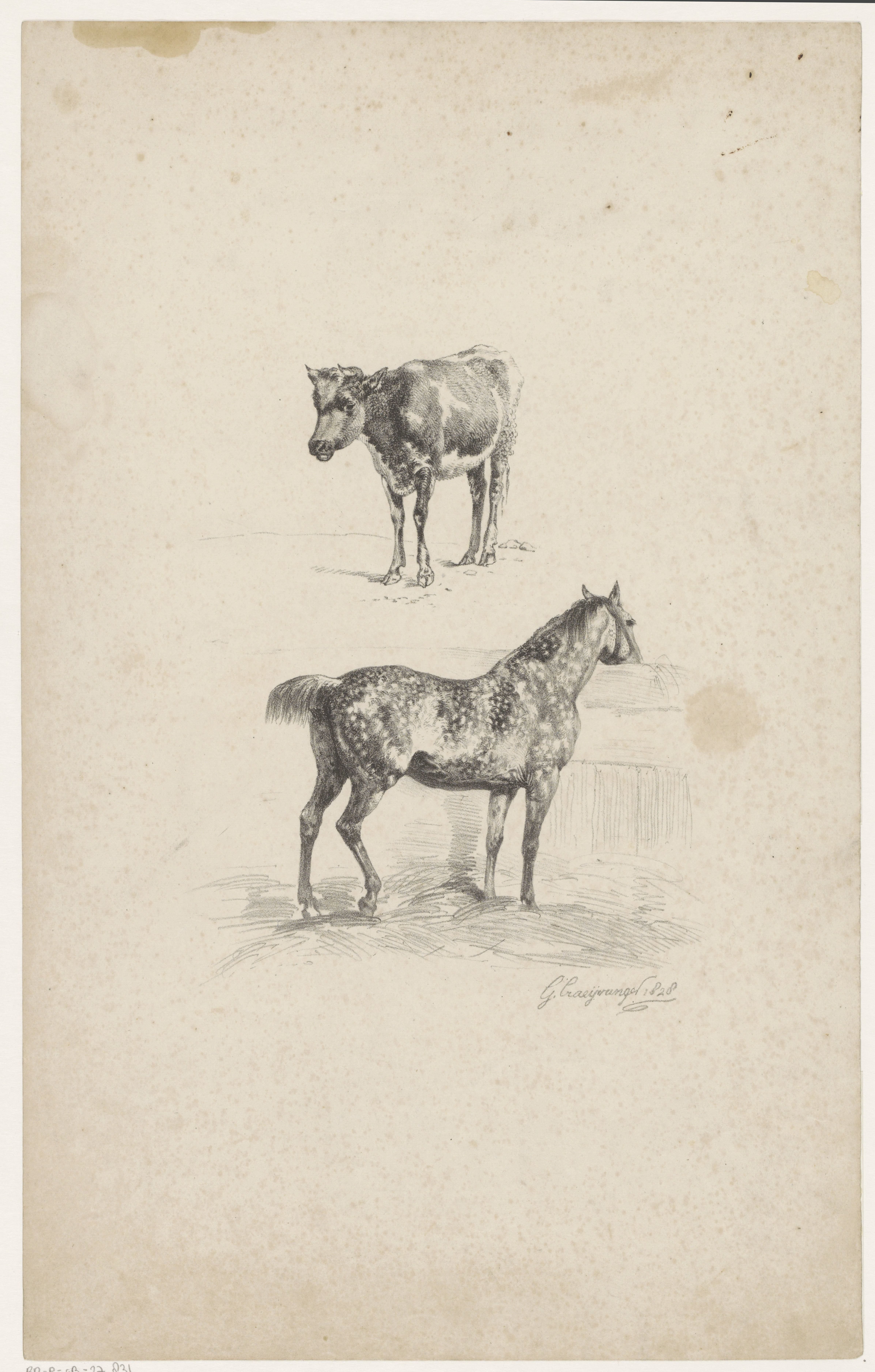 Kalf en paard in stal