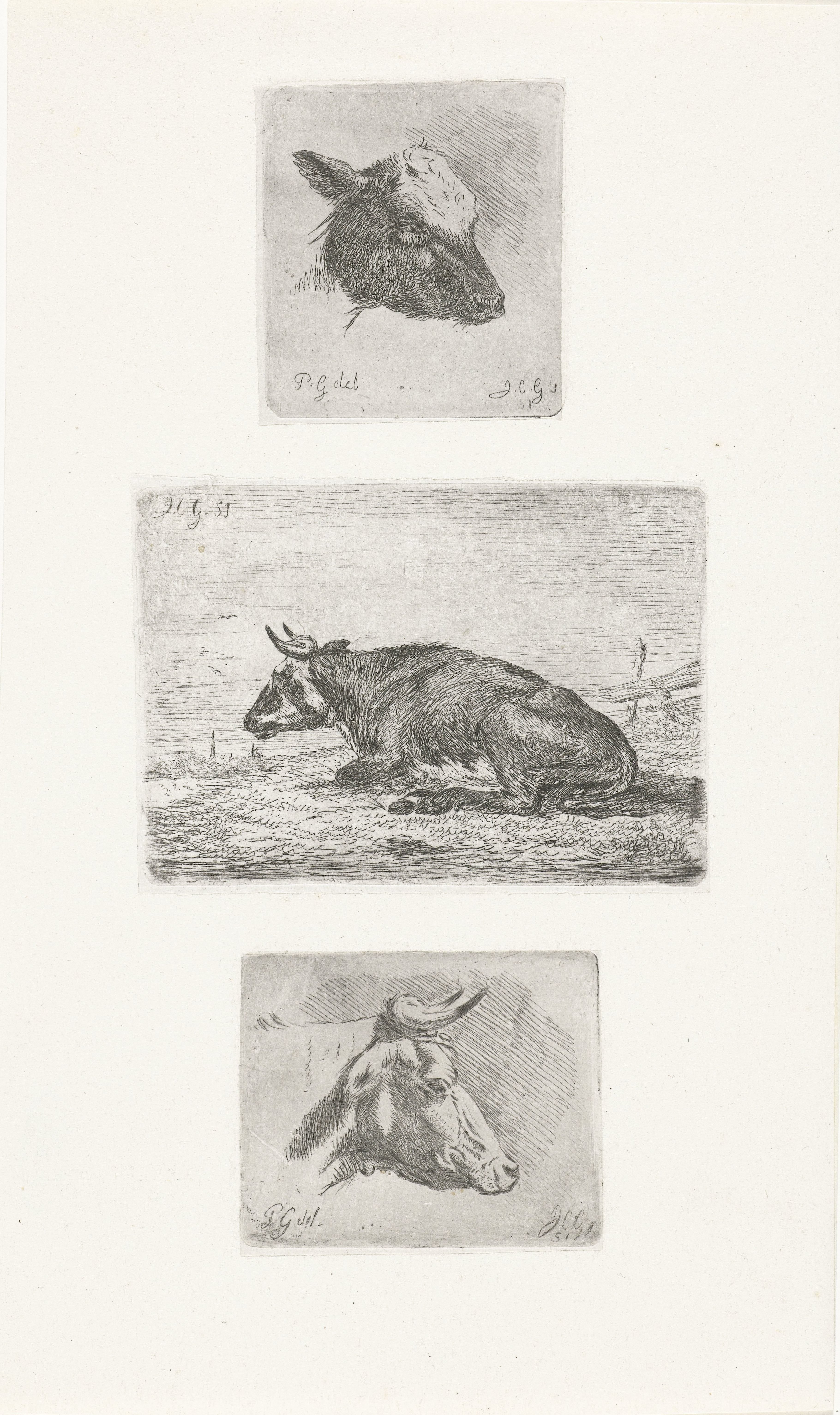 Kop van een kalf, liggende koe en kop van een stier