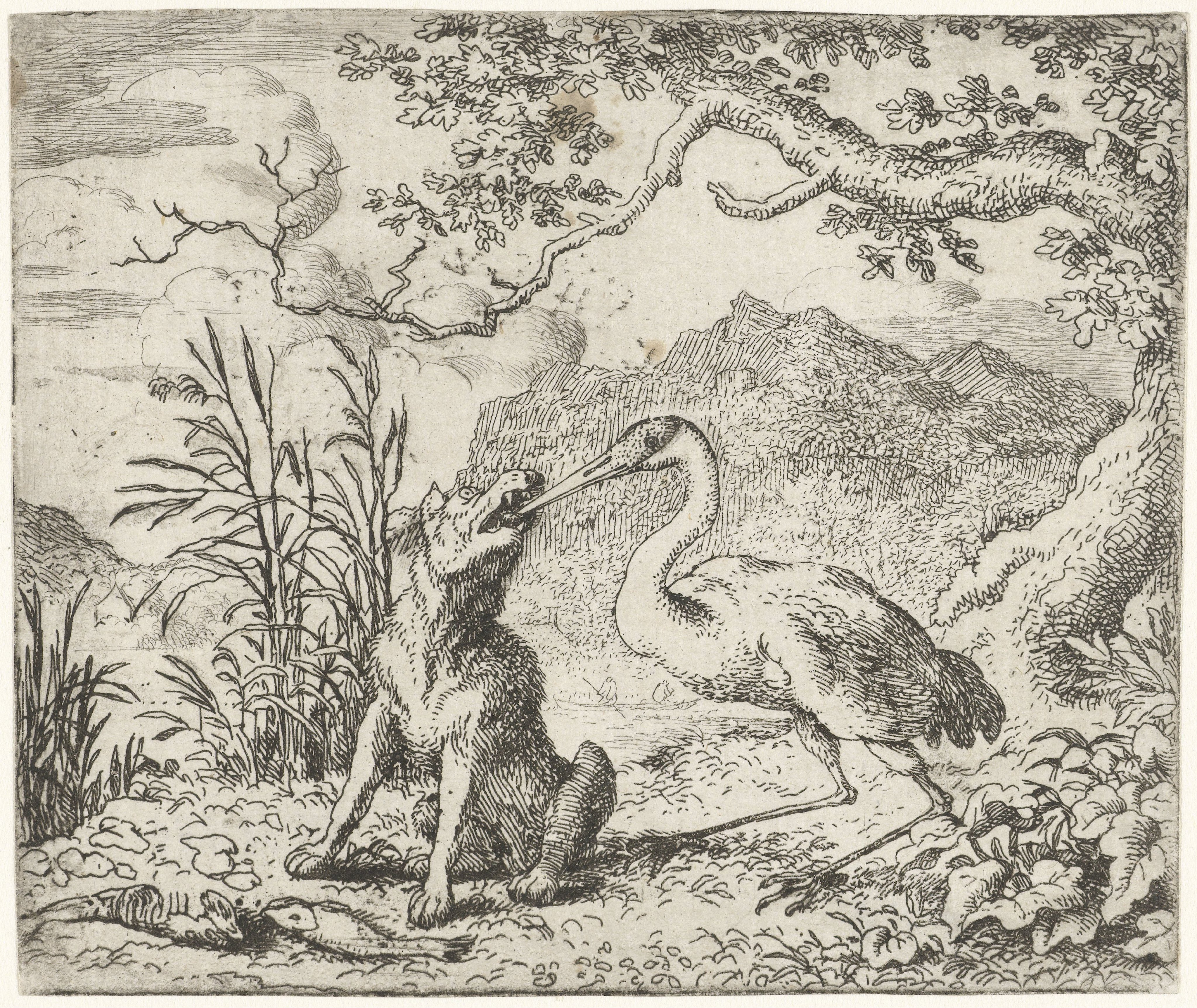 Wolf en kraanvogel