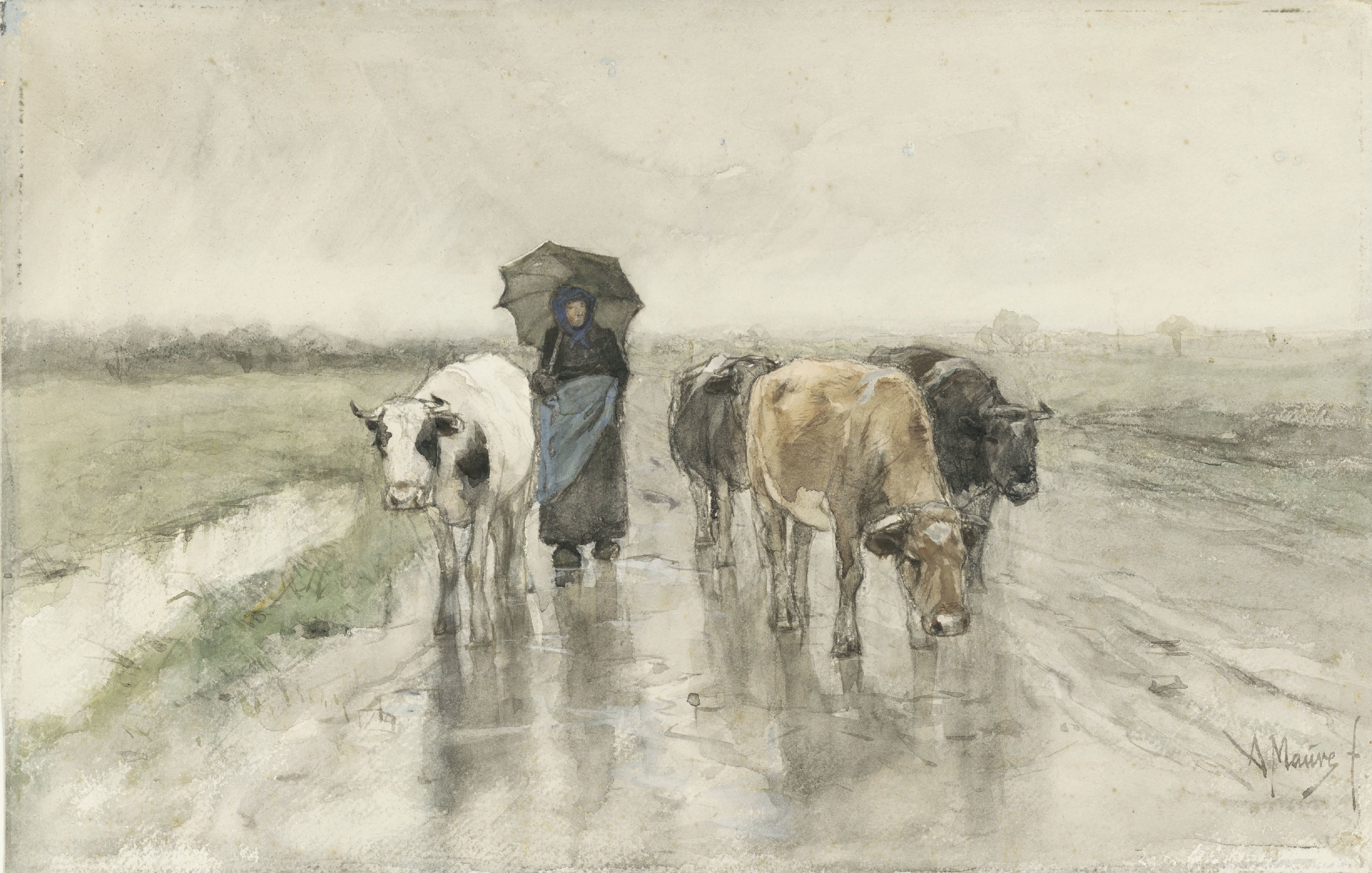 A Herdess with Cows on a Country Road in the Rain