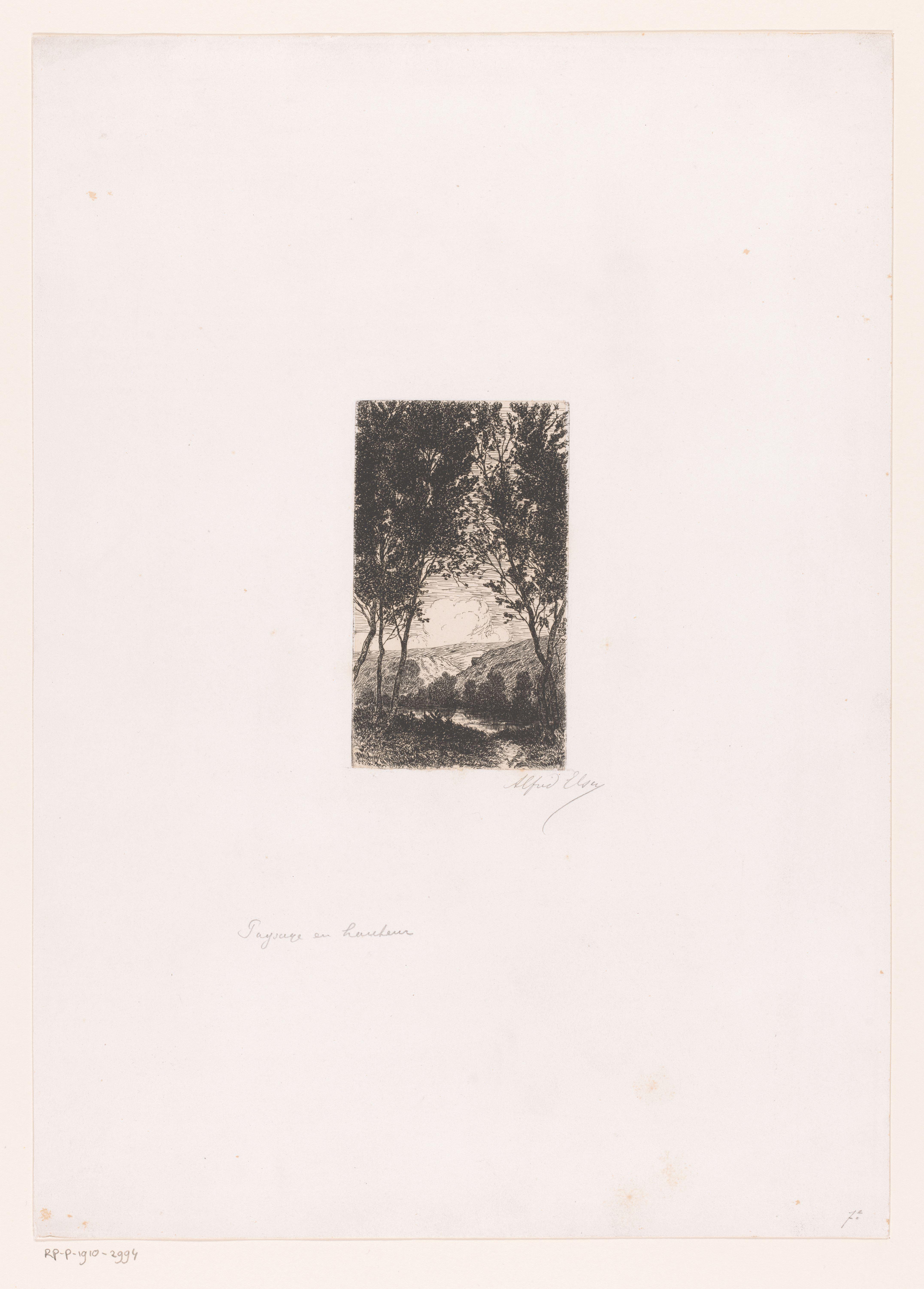 Berglandschap met meer en bomen op de voorgrond