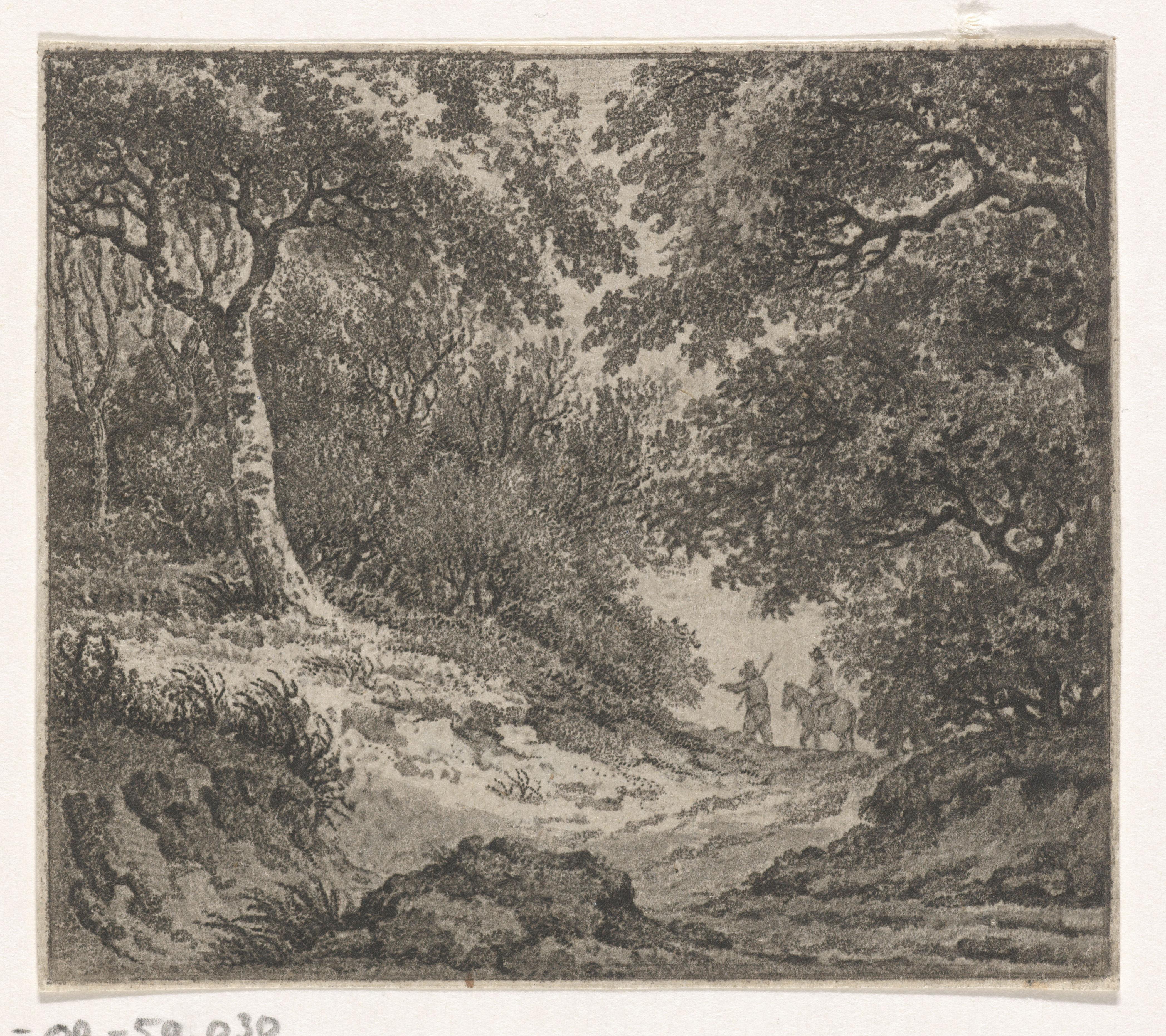 Bebost landschap met ruiter