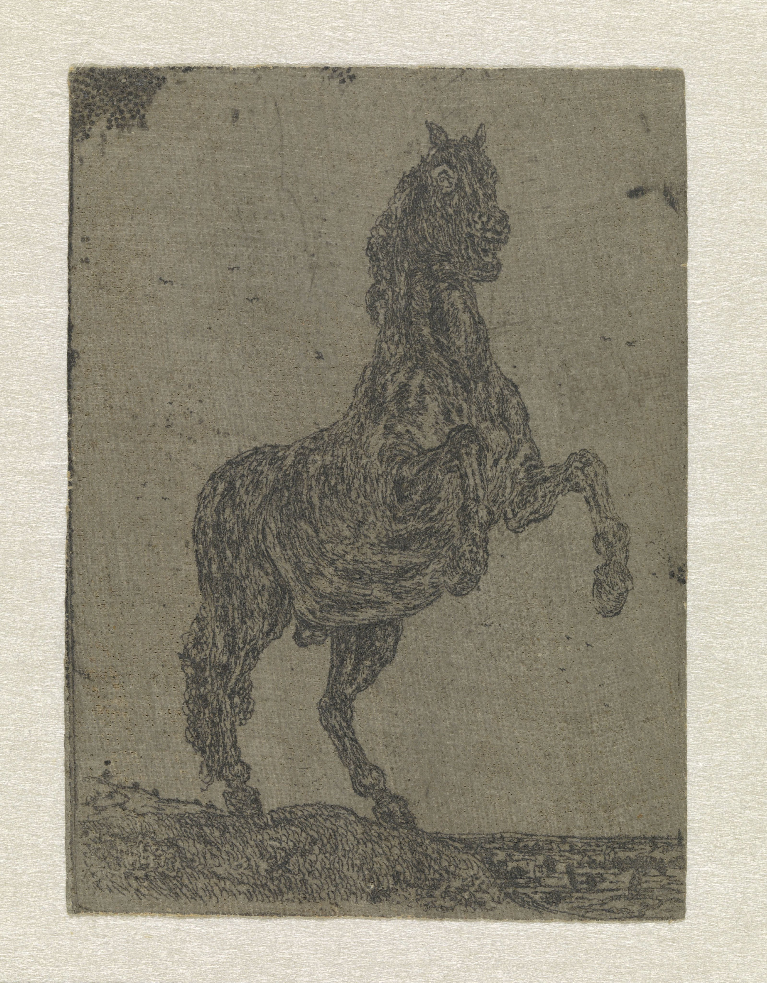 A Rearing Horse before a Landscape