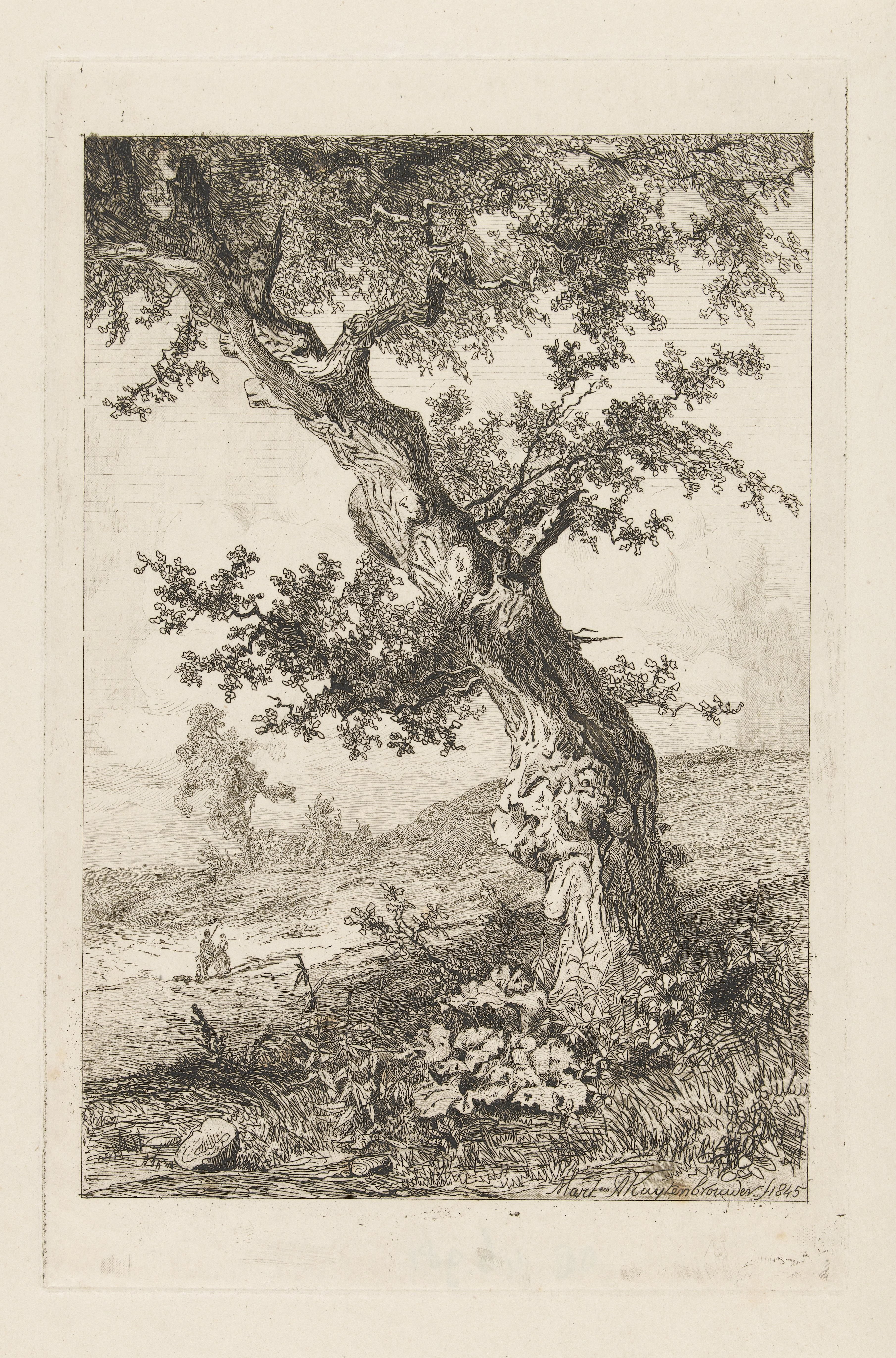 Heuvelachtig landschap met een scheve boom en twee wandelaars