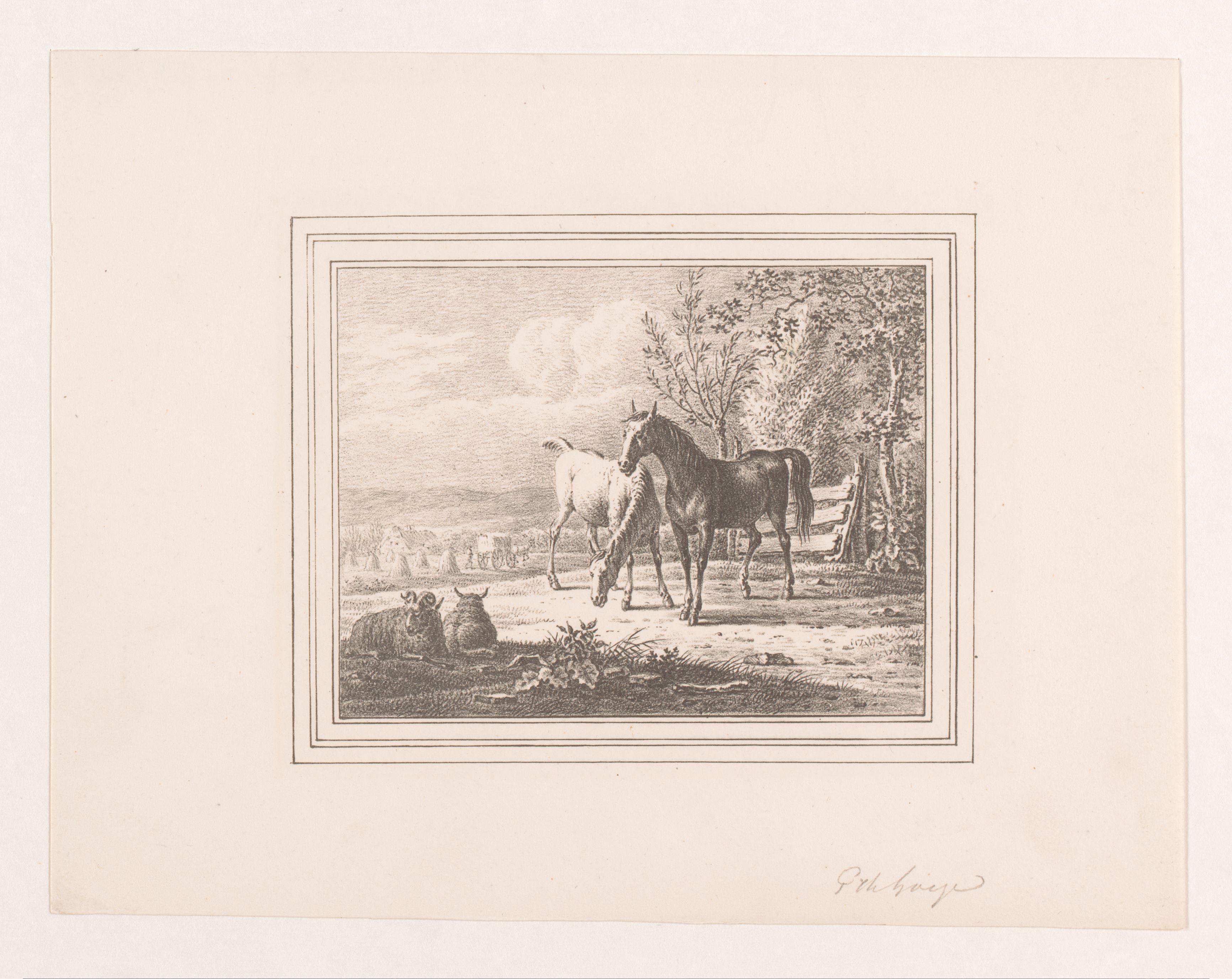 Twee paarden en twee schapen in een weide