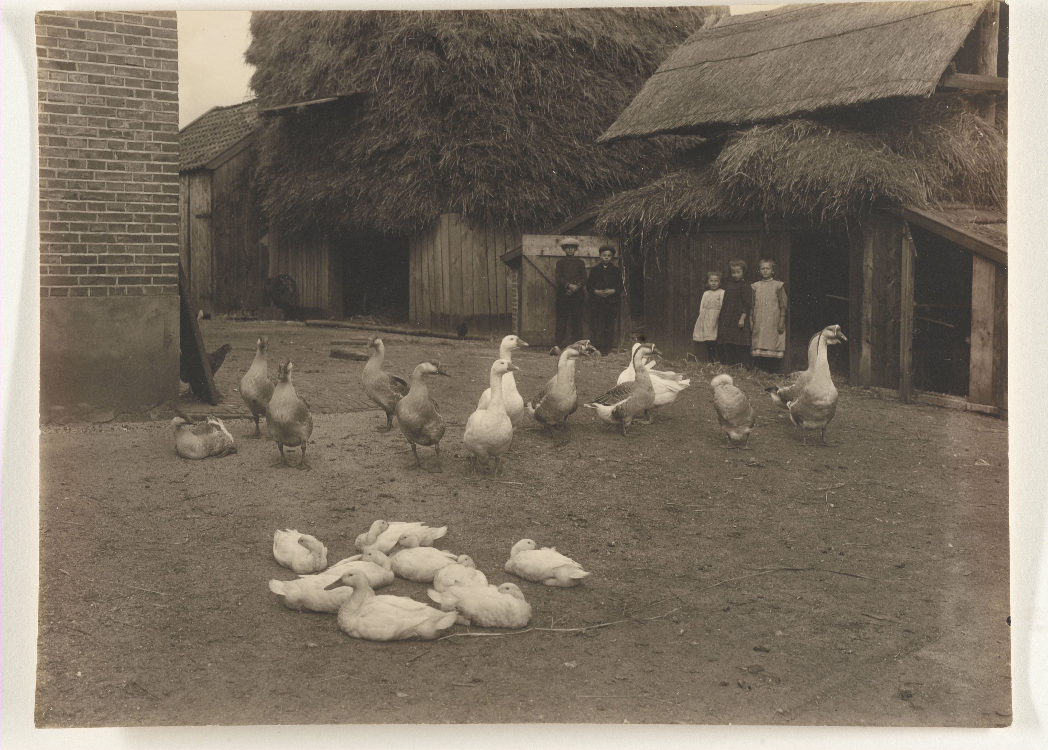 Erf van een boerderij, met ganzen, eenden en kinderen (dieren)