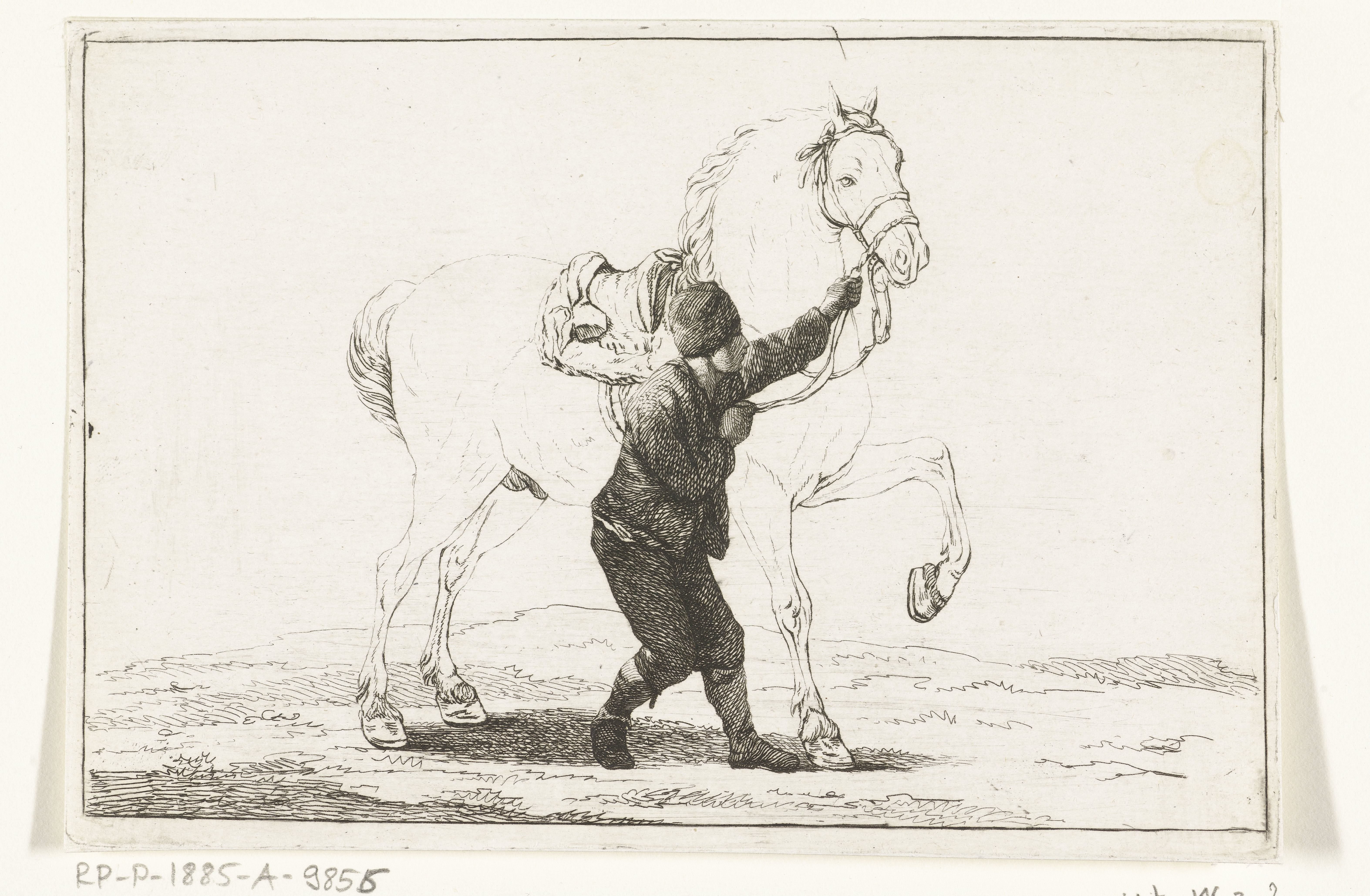 Een jongen houdt een paard aan de toom