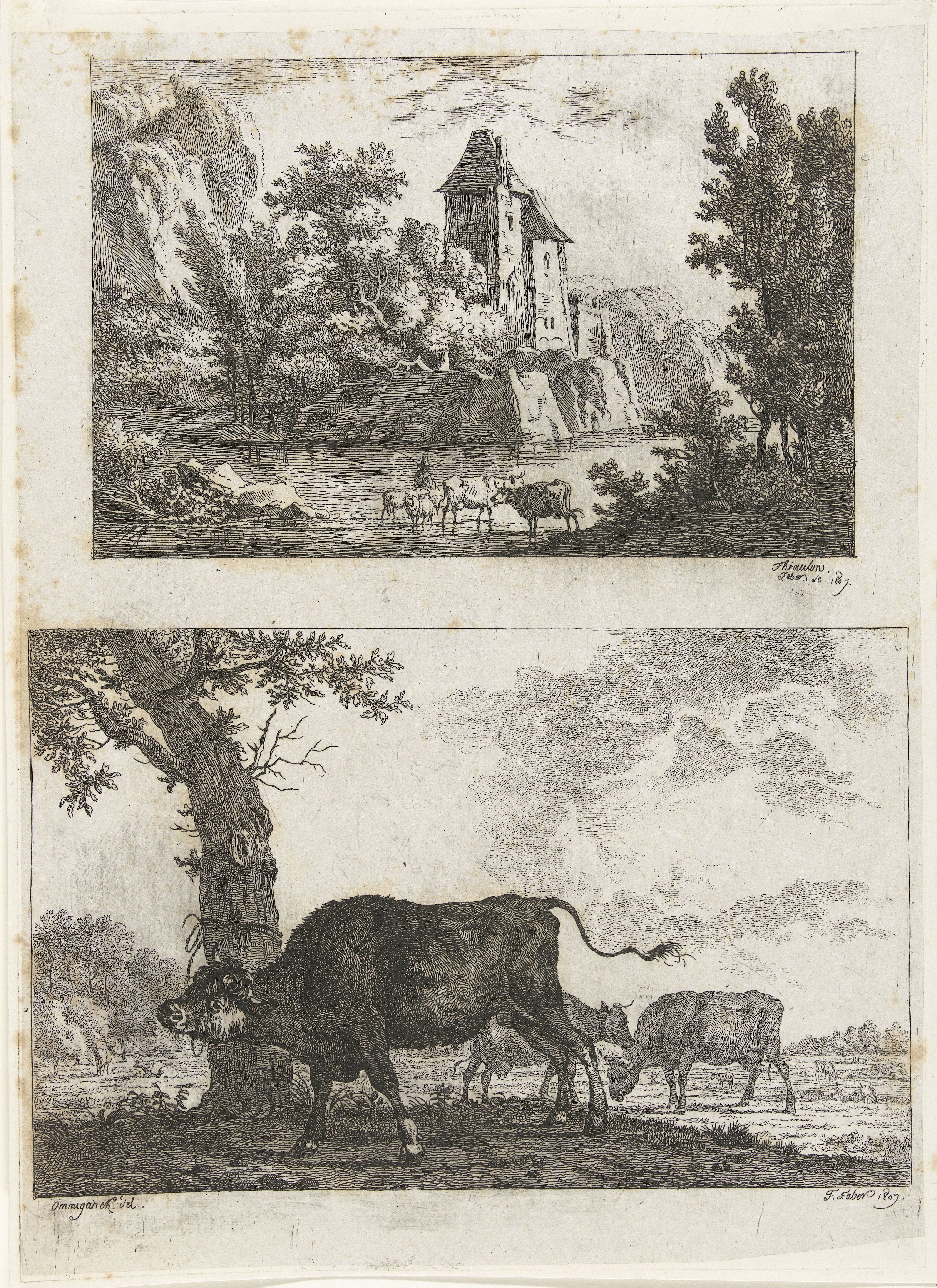 Landschap en stier