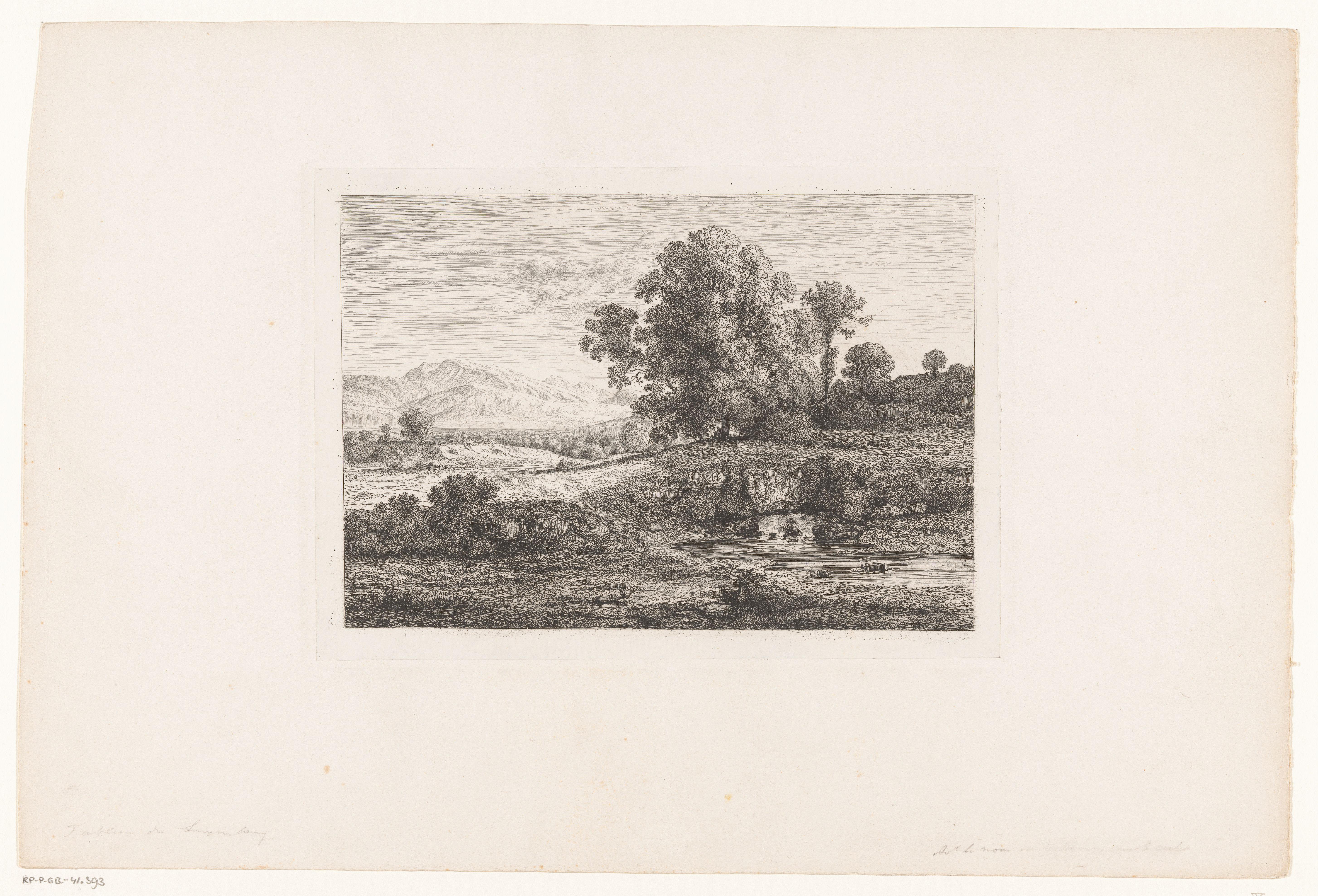 Glooiend landschap met een beek