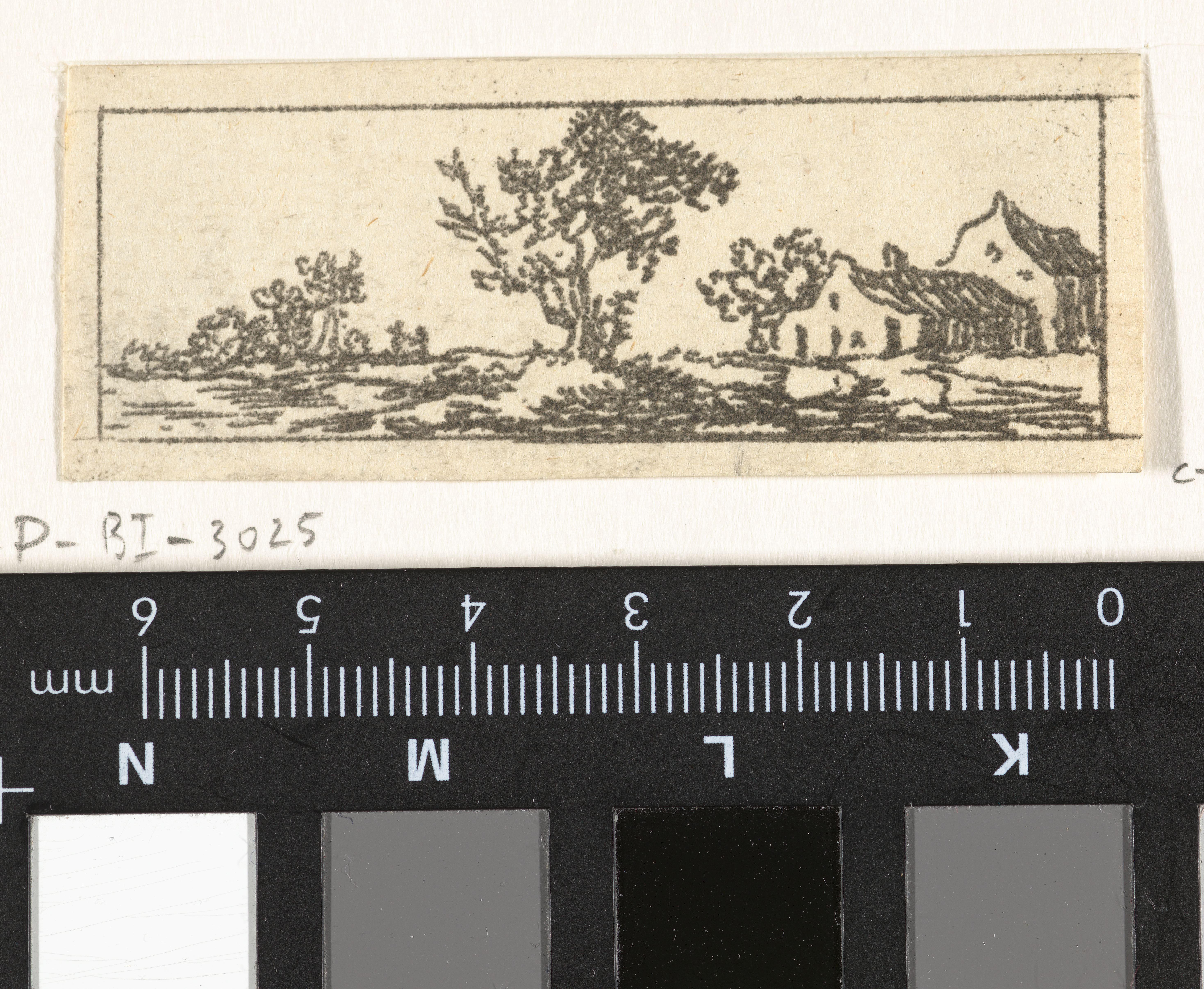 Landschap met boerderij en grote boom