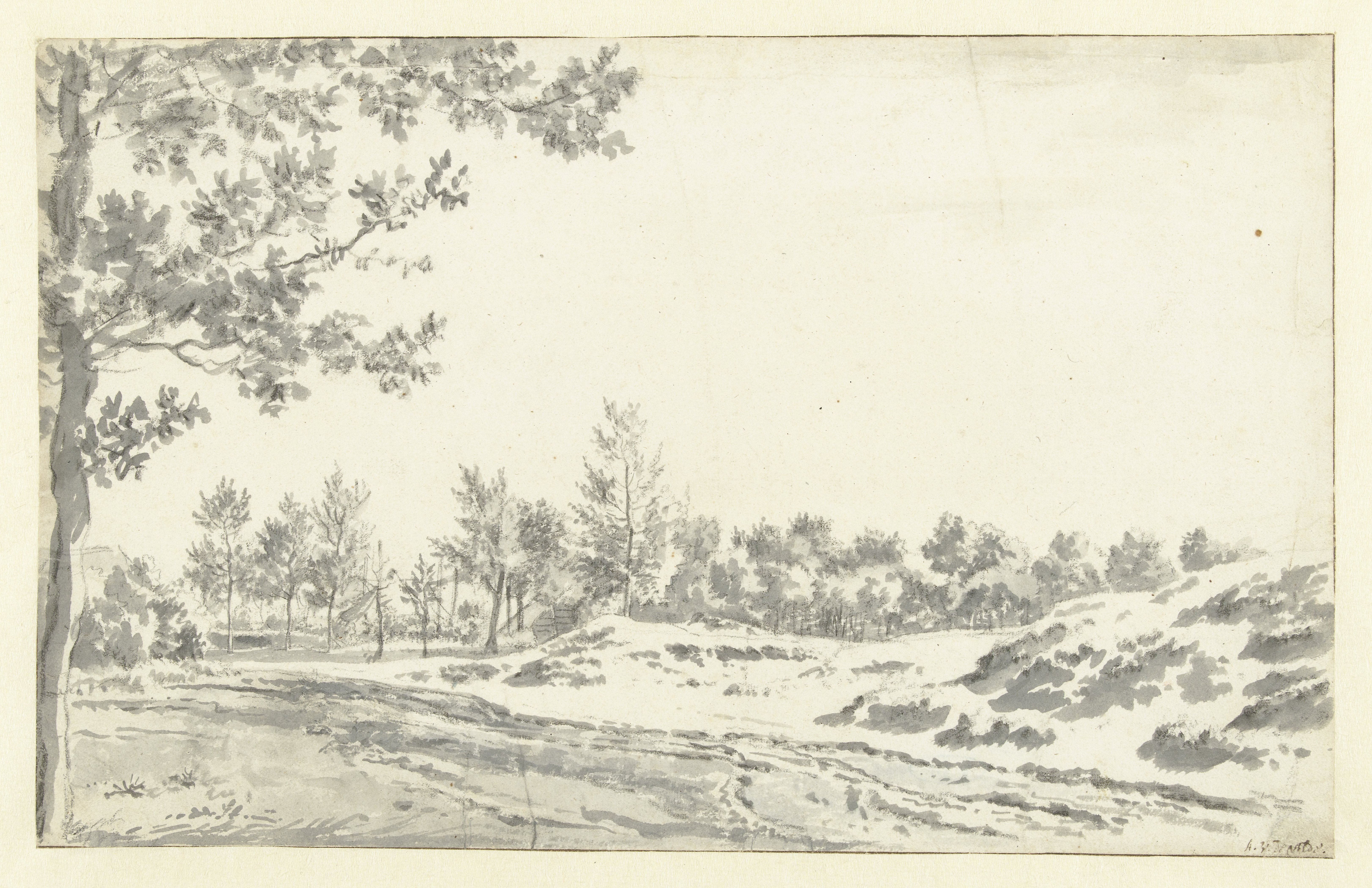 A Path along Sand Hills and Trees