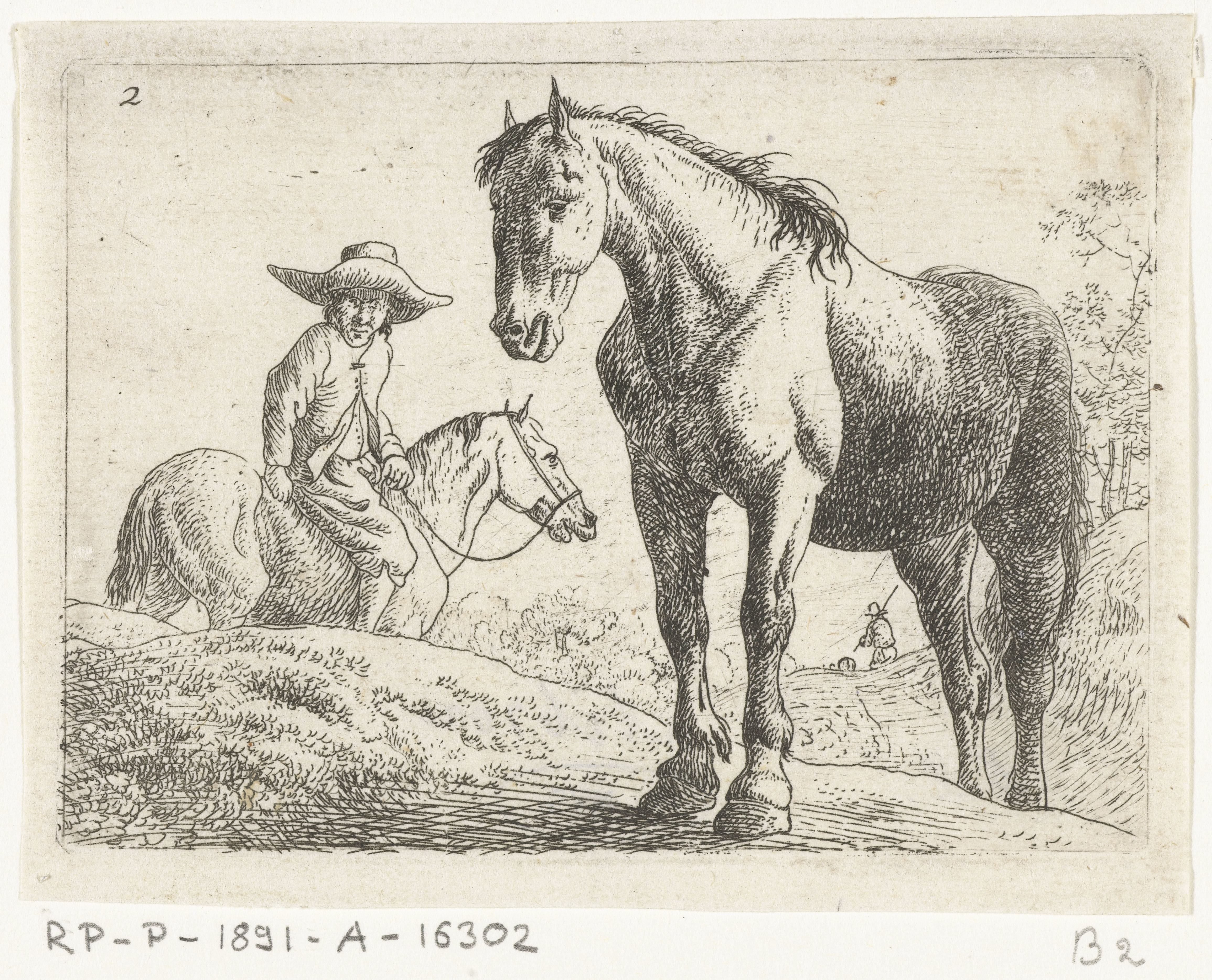 Twee paarden, één met ruiter