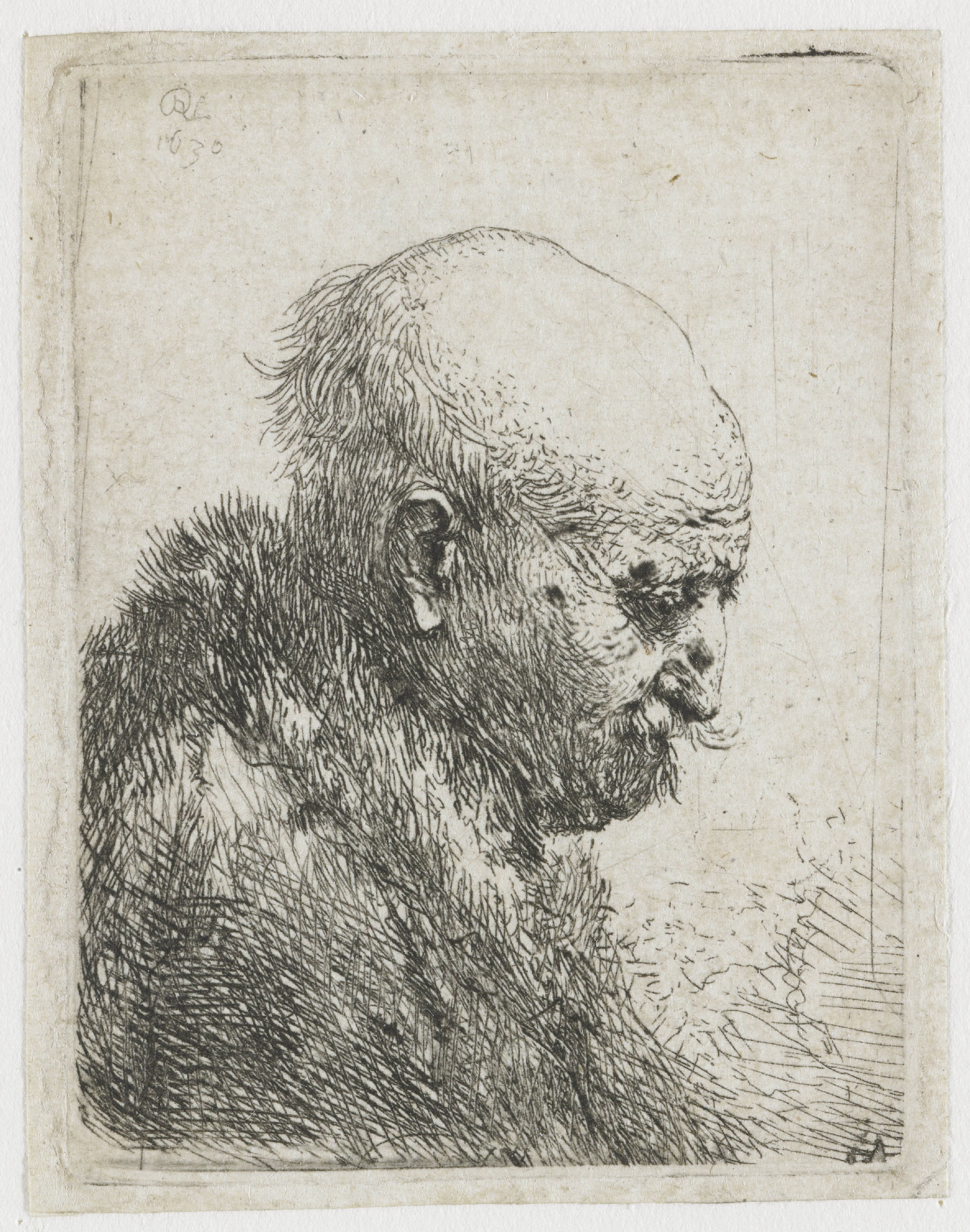 Bald headed man in profile right: small bust, the artist's father (?)