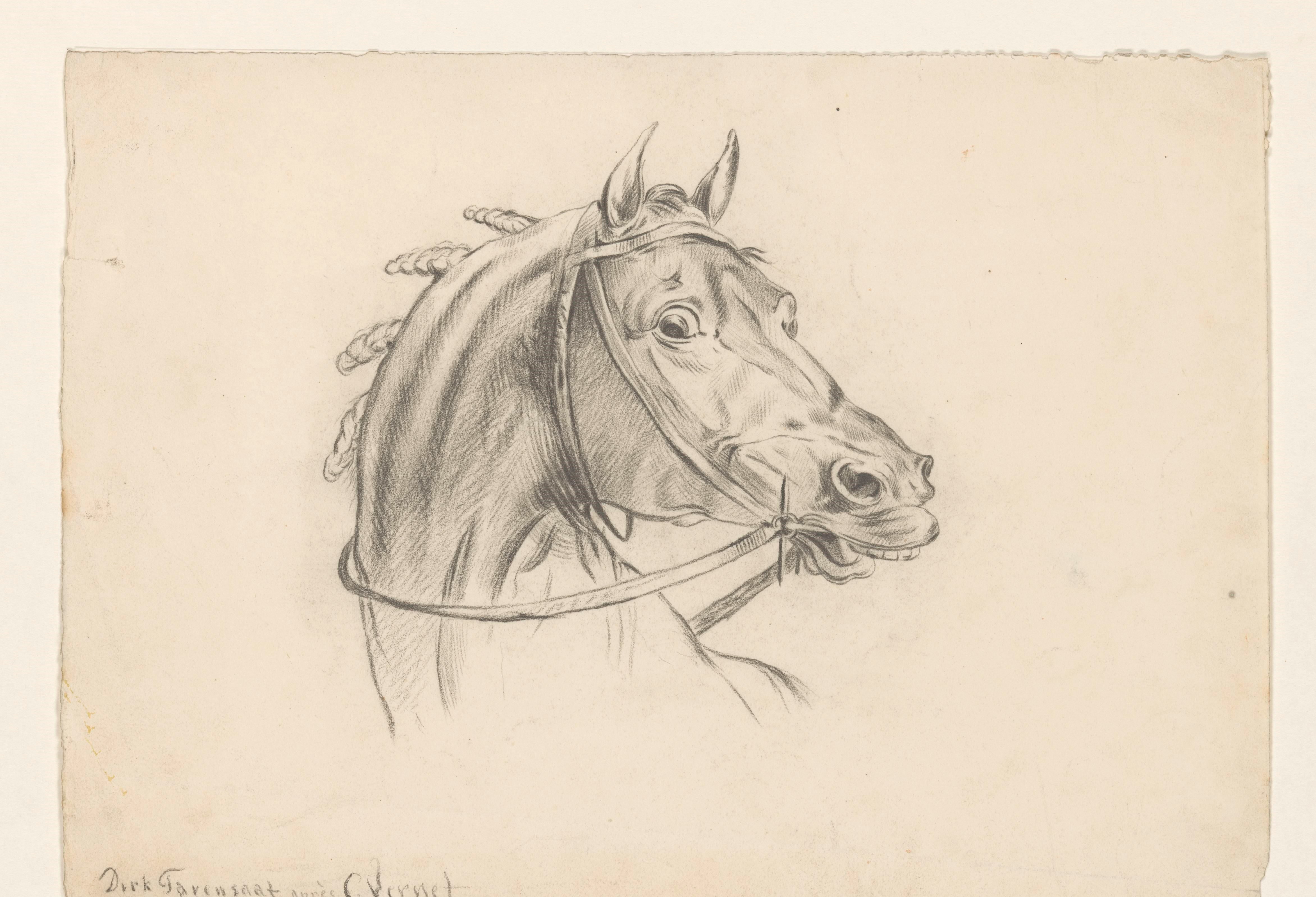 Kop van een paard, naar rechts