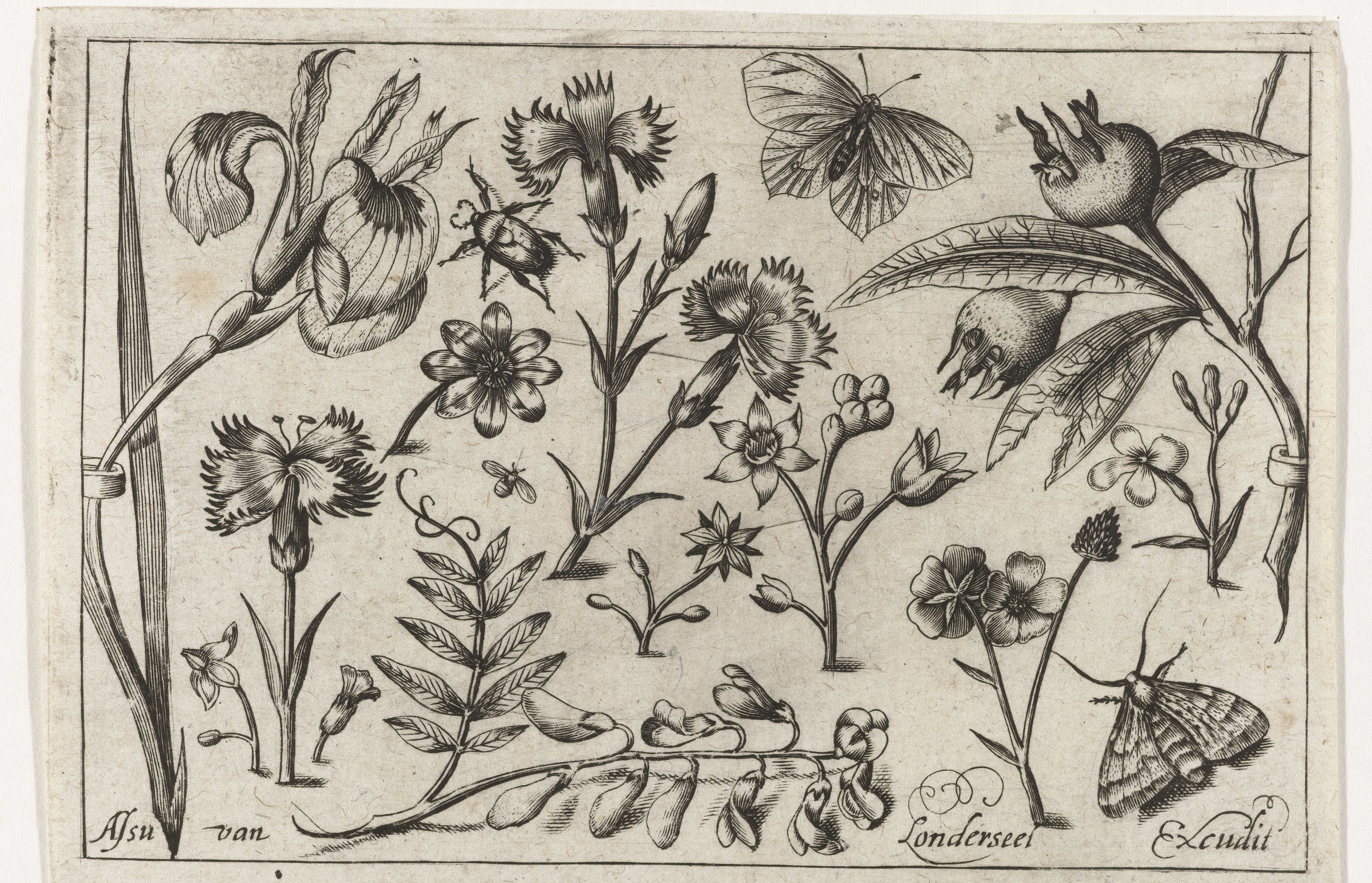 Bloemen en vlinders