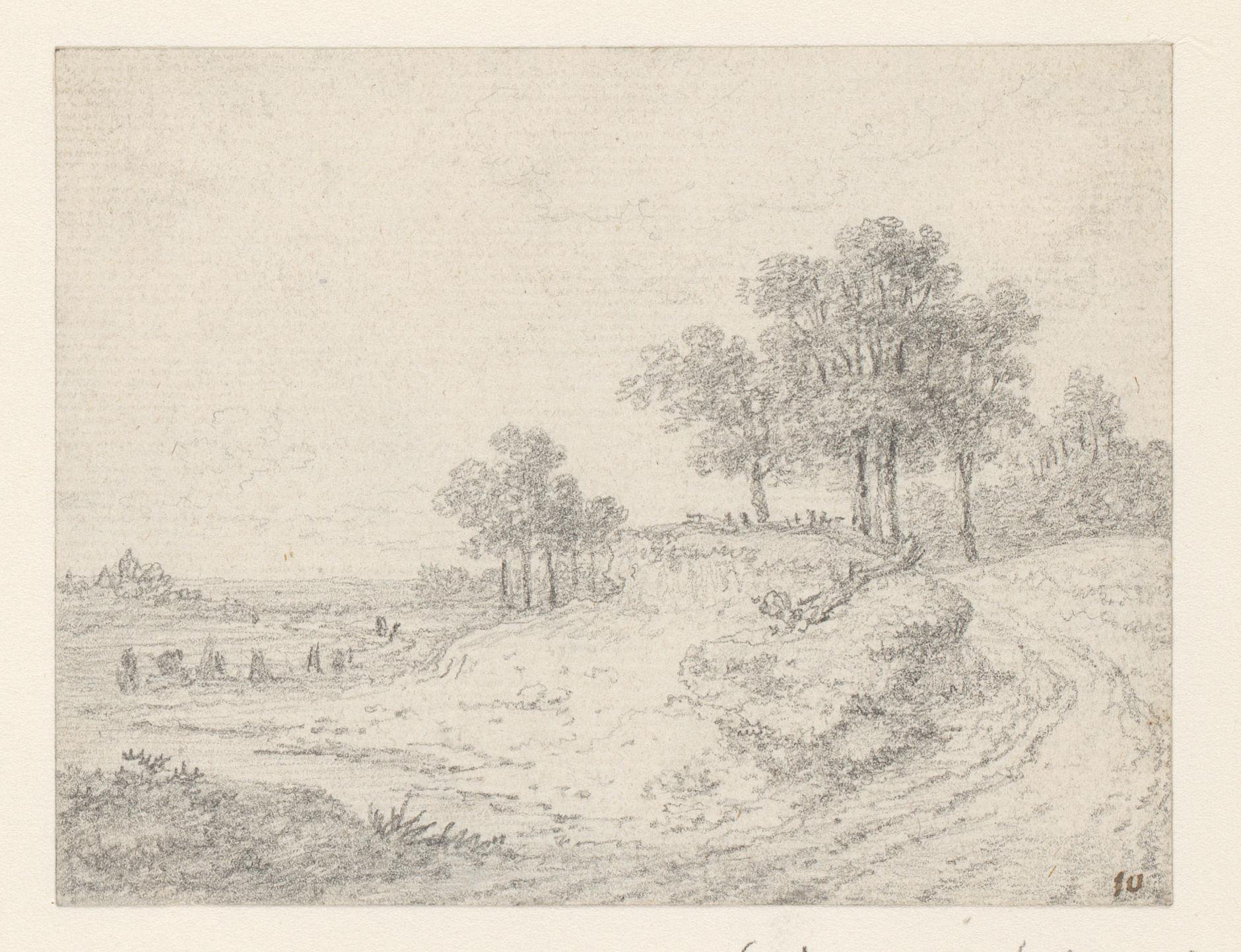 Landschap met zandweg en bomen