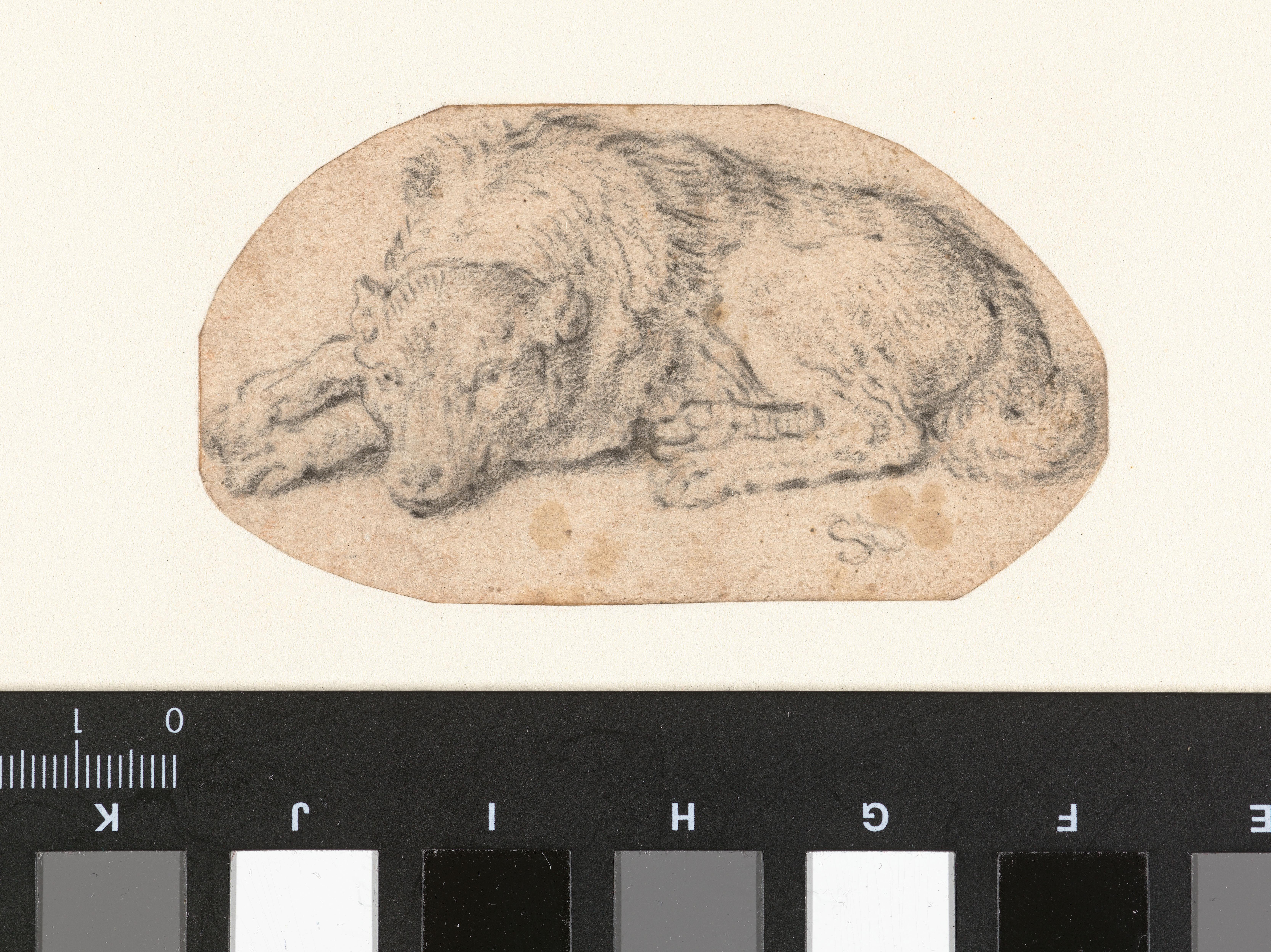 Reclining Dog, Turned to the Left
