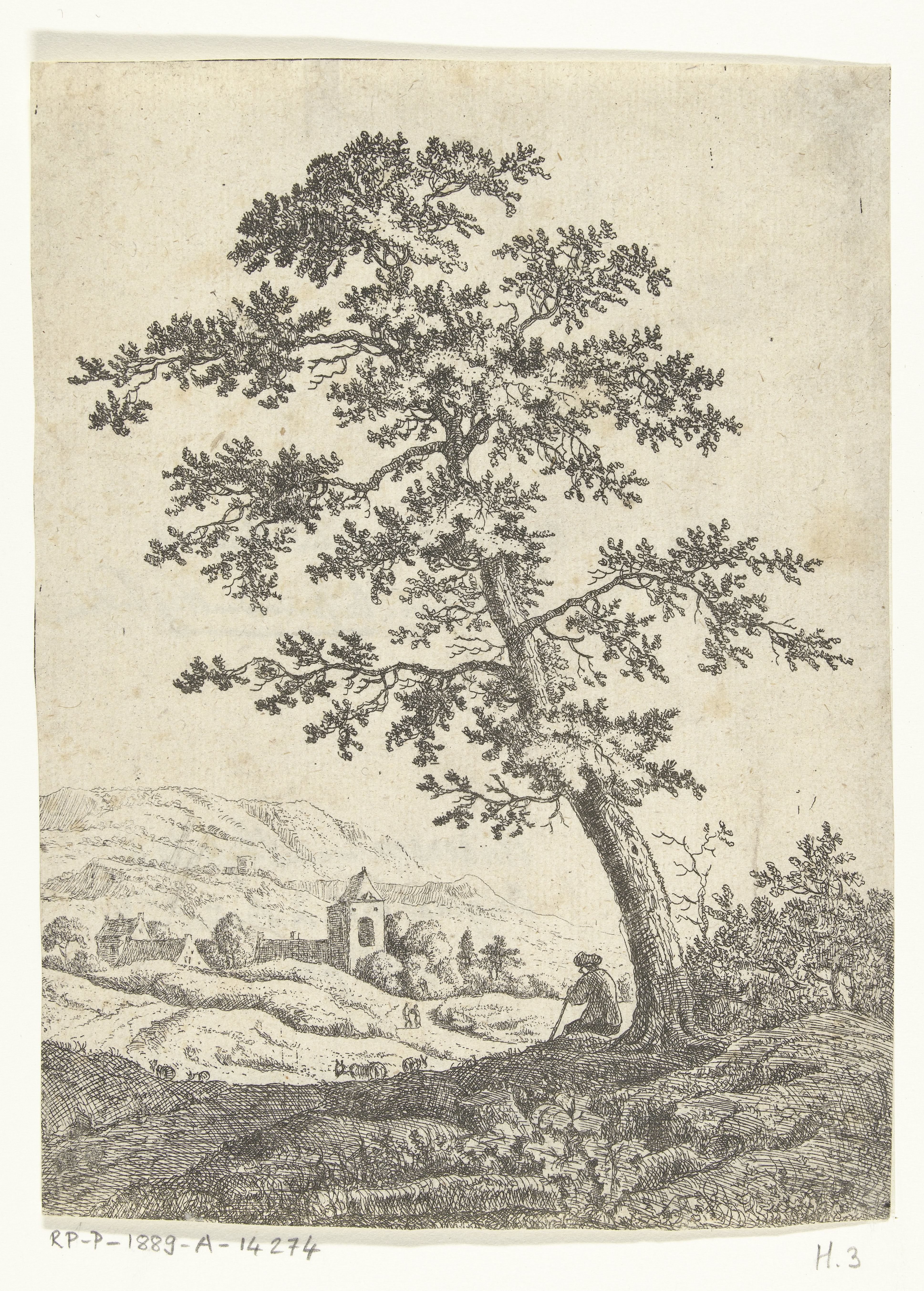 Landschap met herder