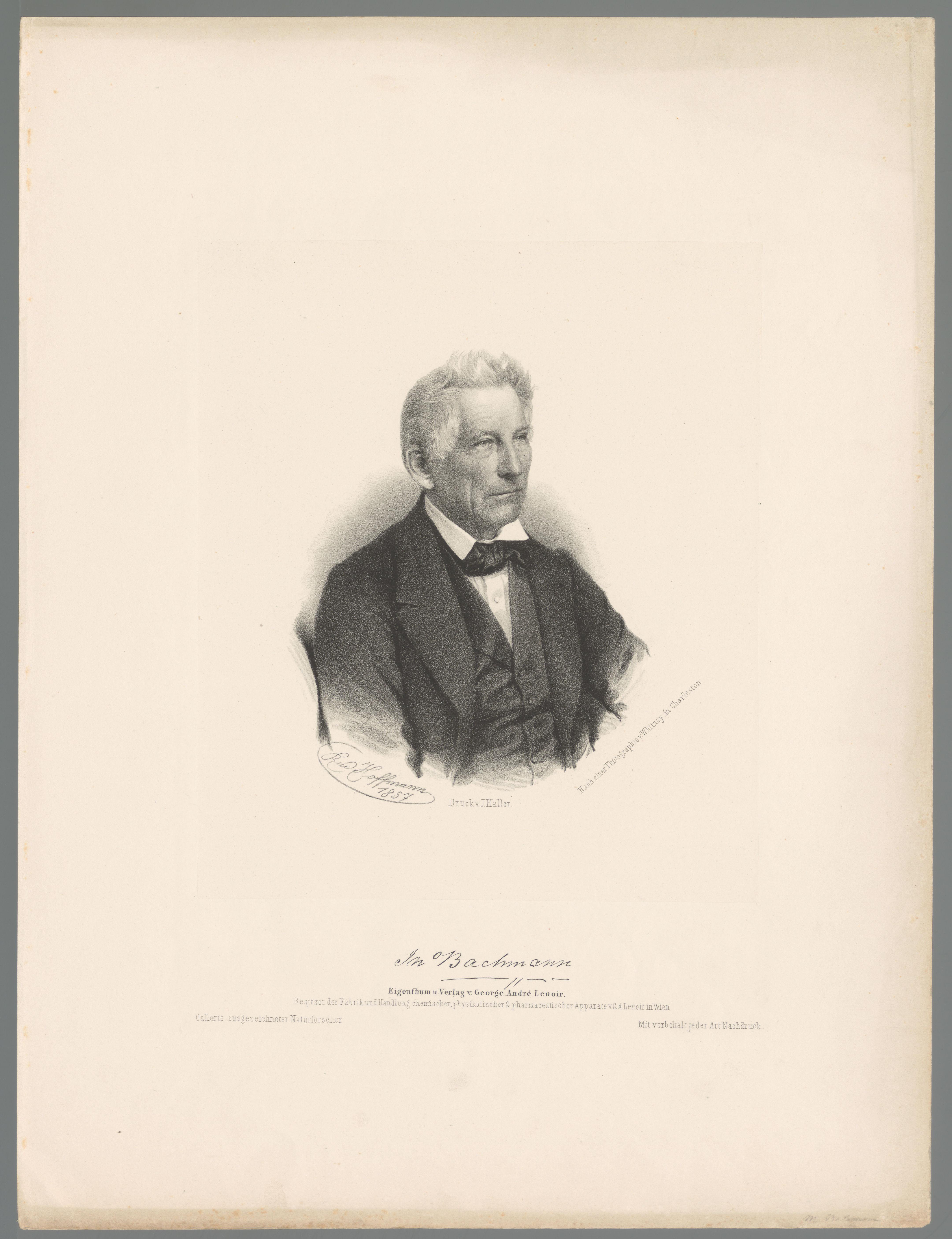 Portret van M. Bachmann