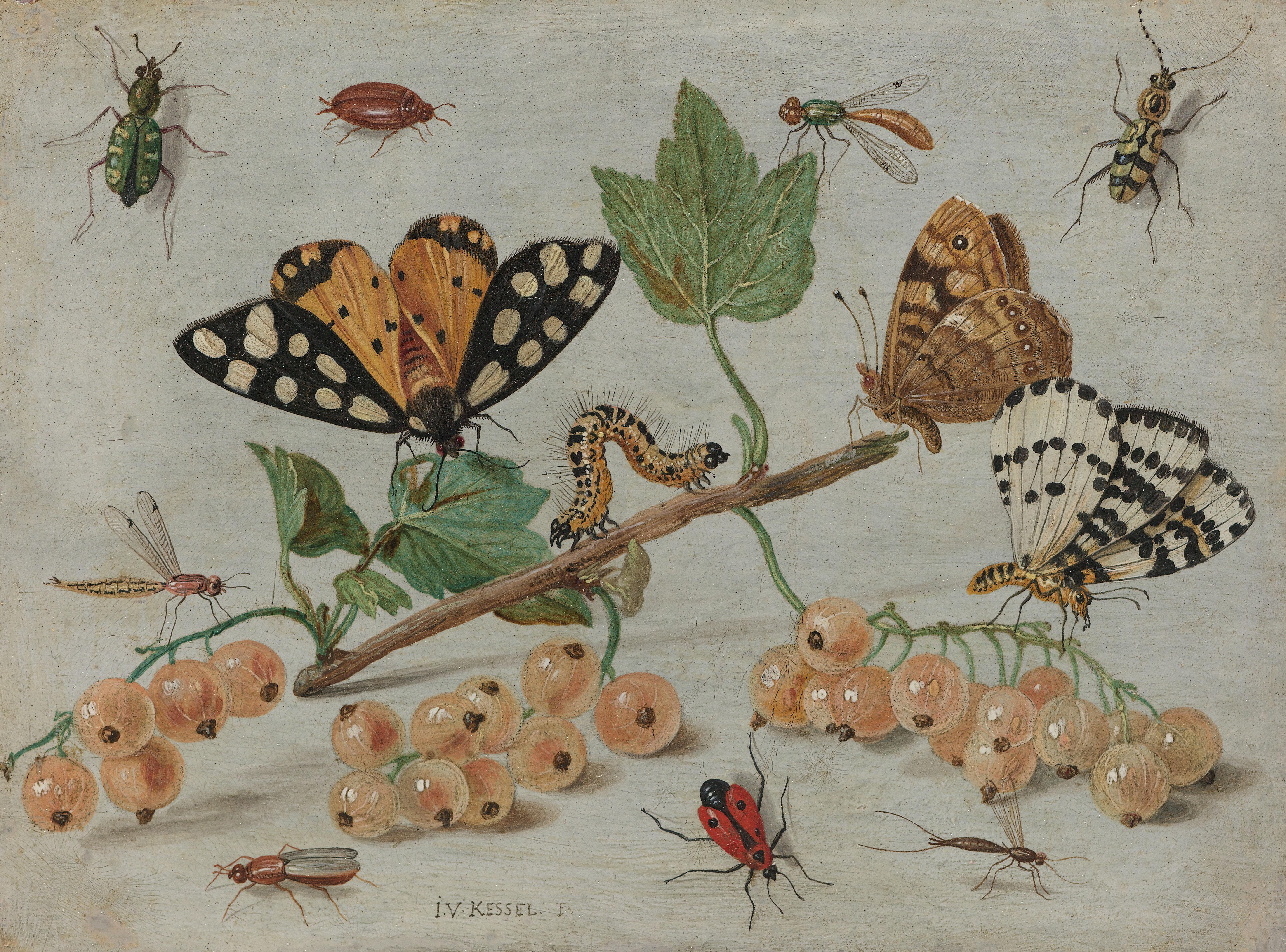 Sprig of White Currants with Insects