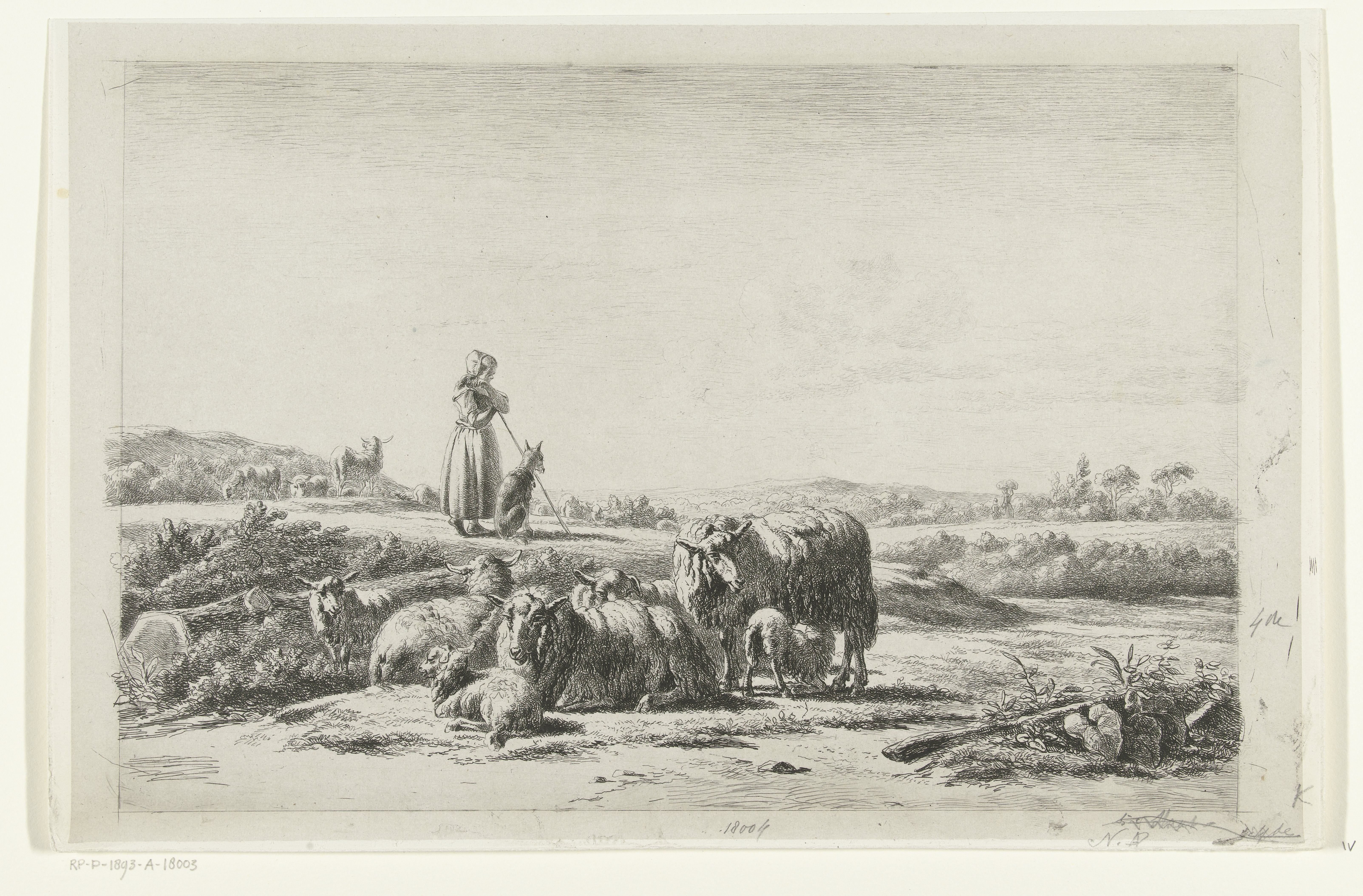 Landschap met herderin en hond bij kudde schapen