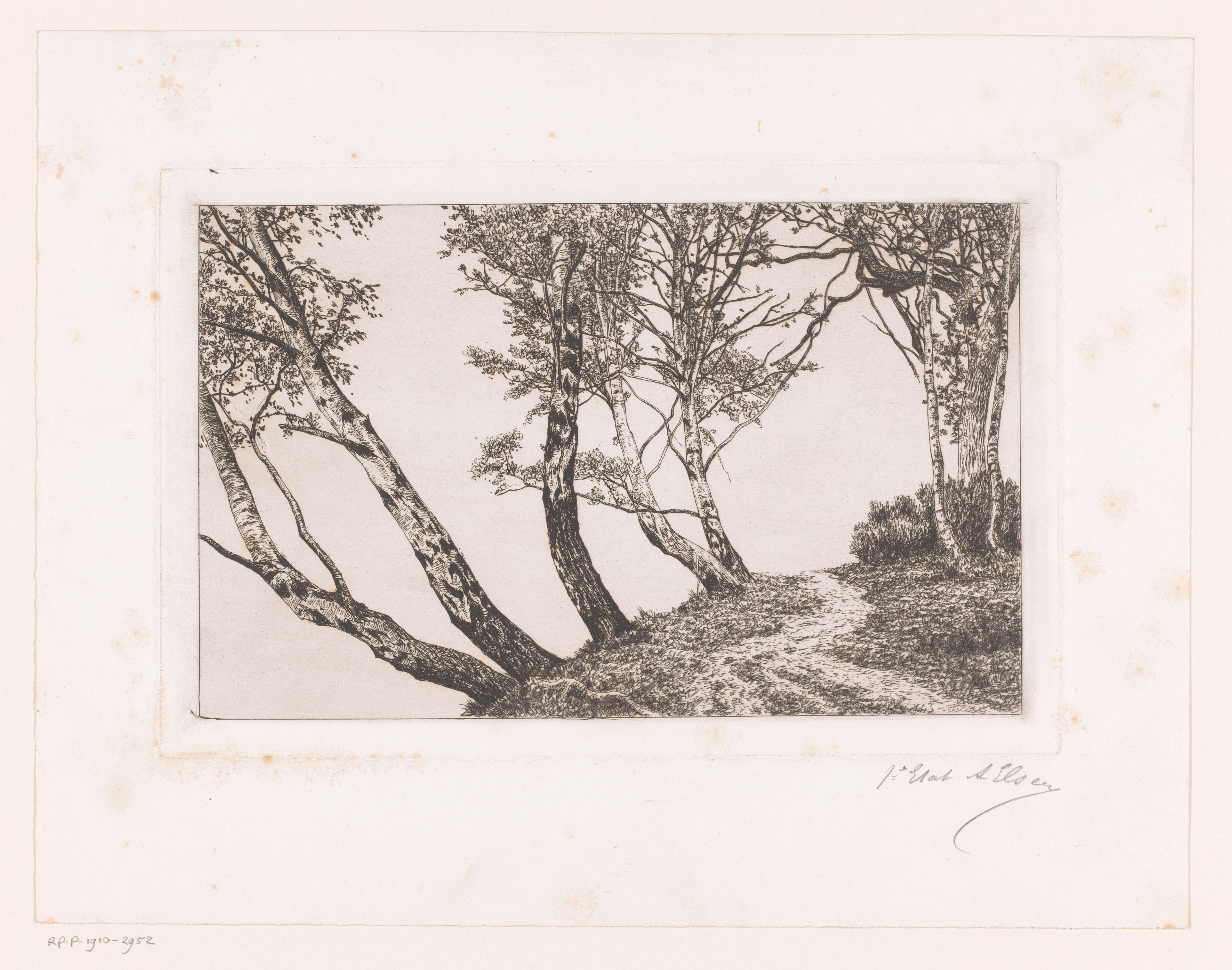 Landschap met berken langs een oever