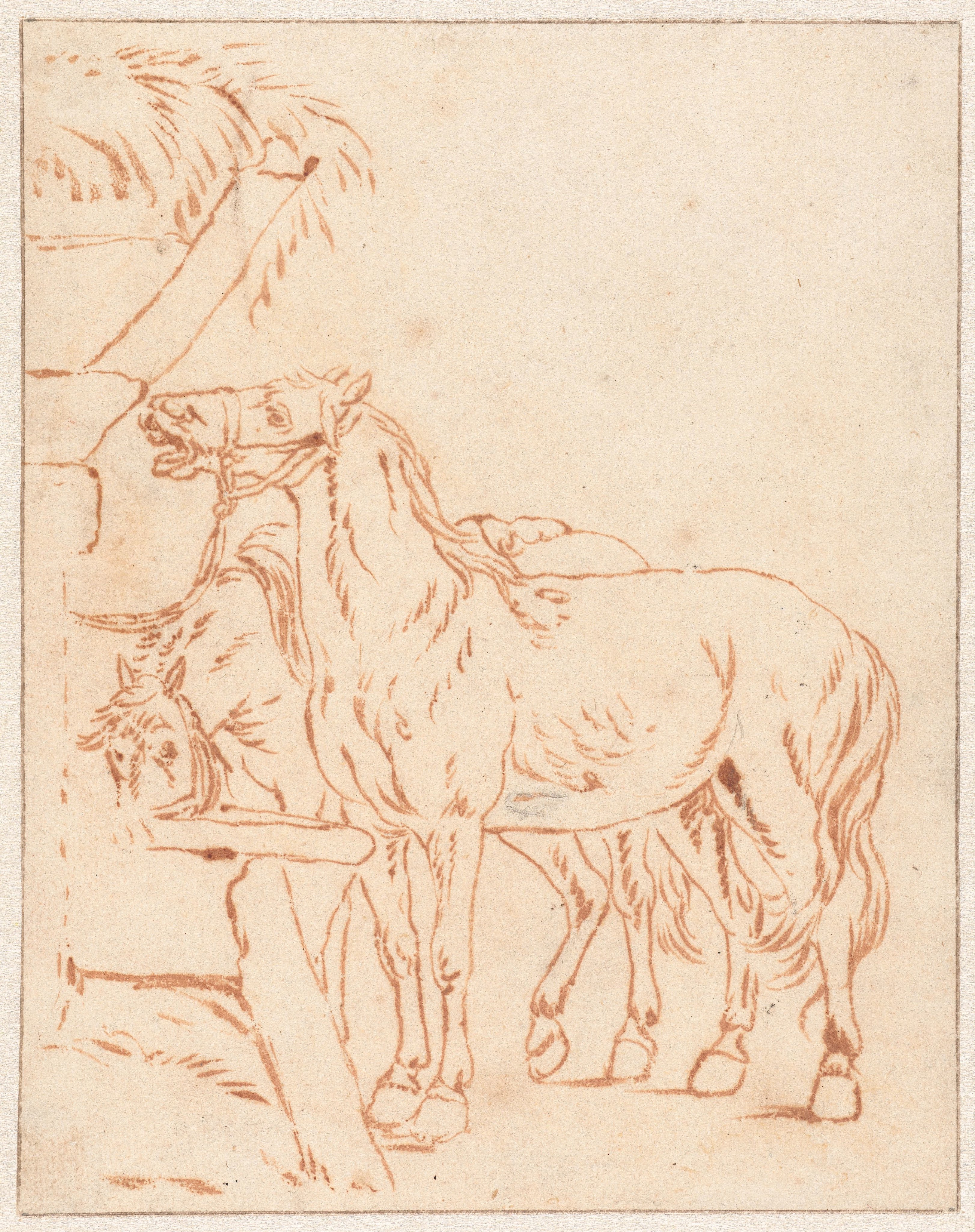 Two Horses by a Trough